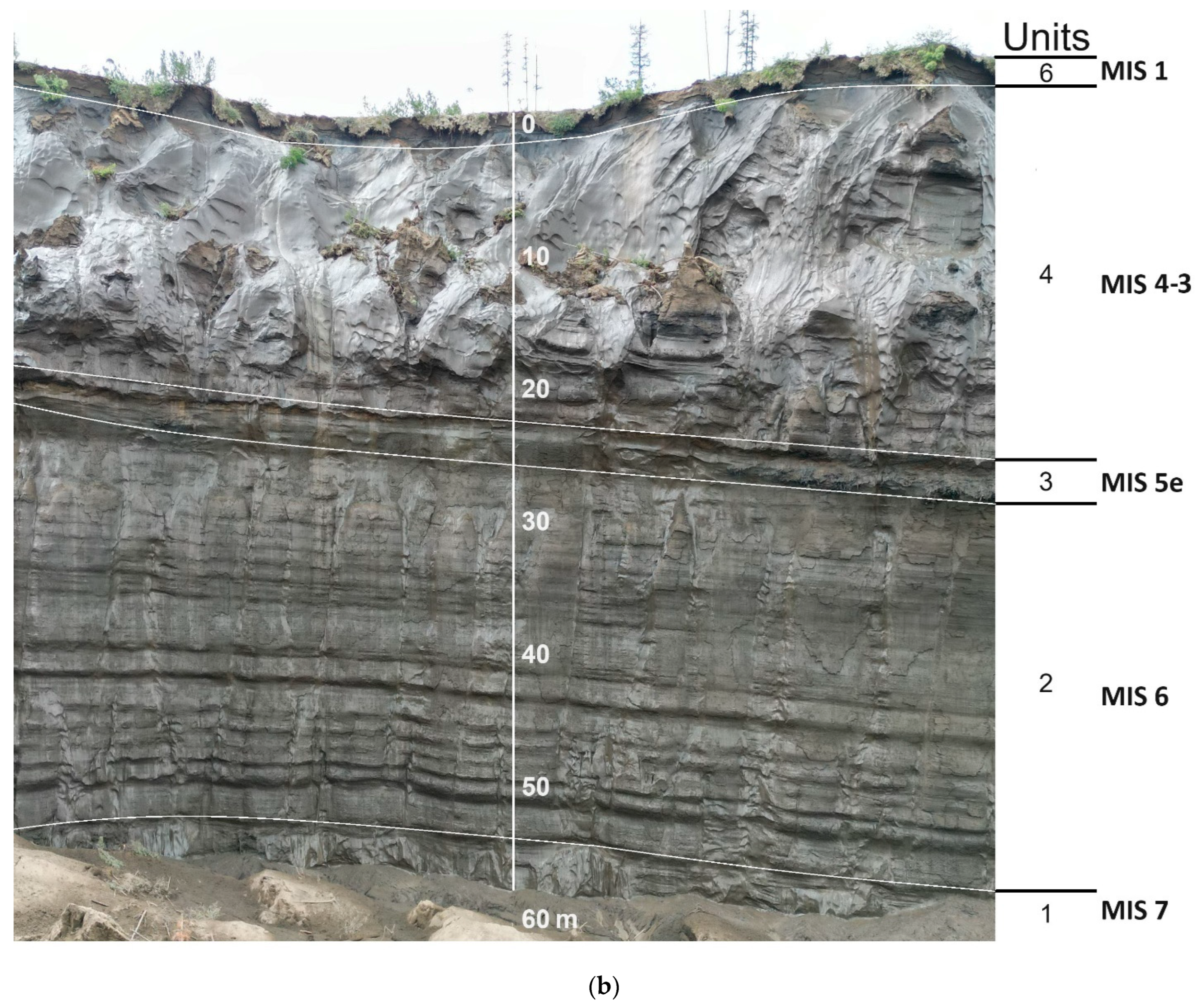 Environments 12 00282 g001b Environments 12 00282 g001b