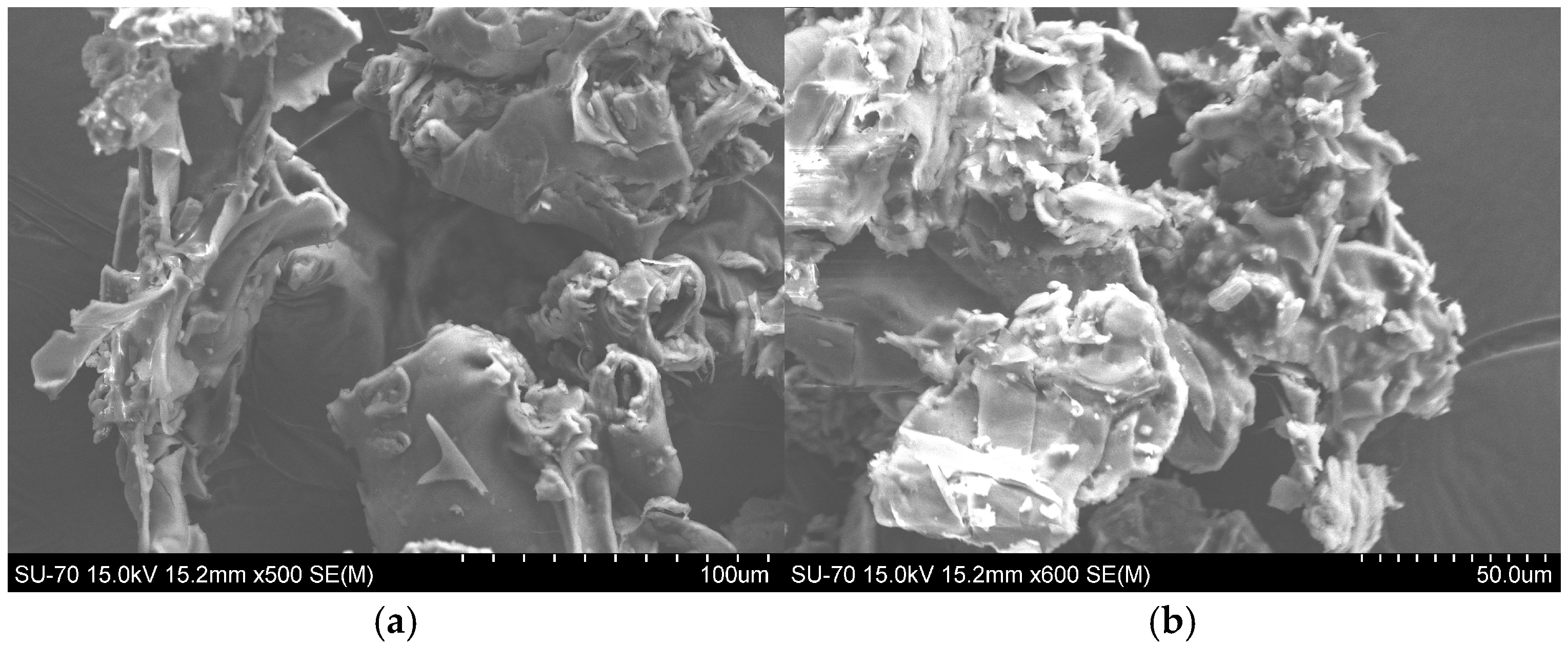 Environments 12 00284 g002