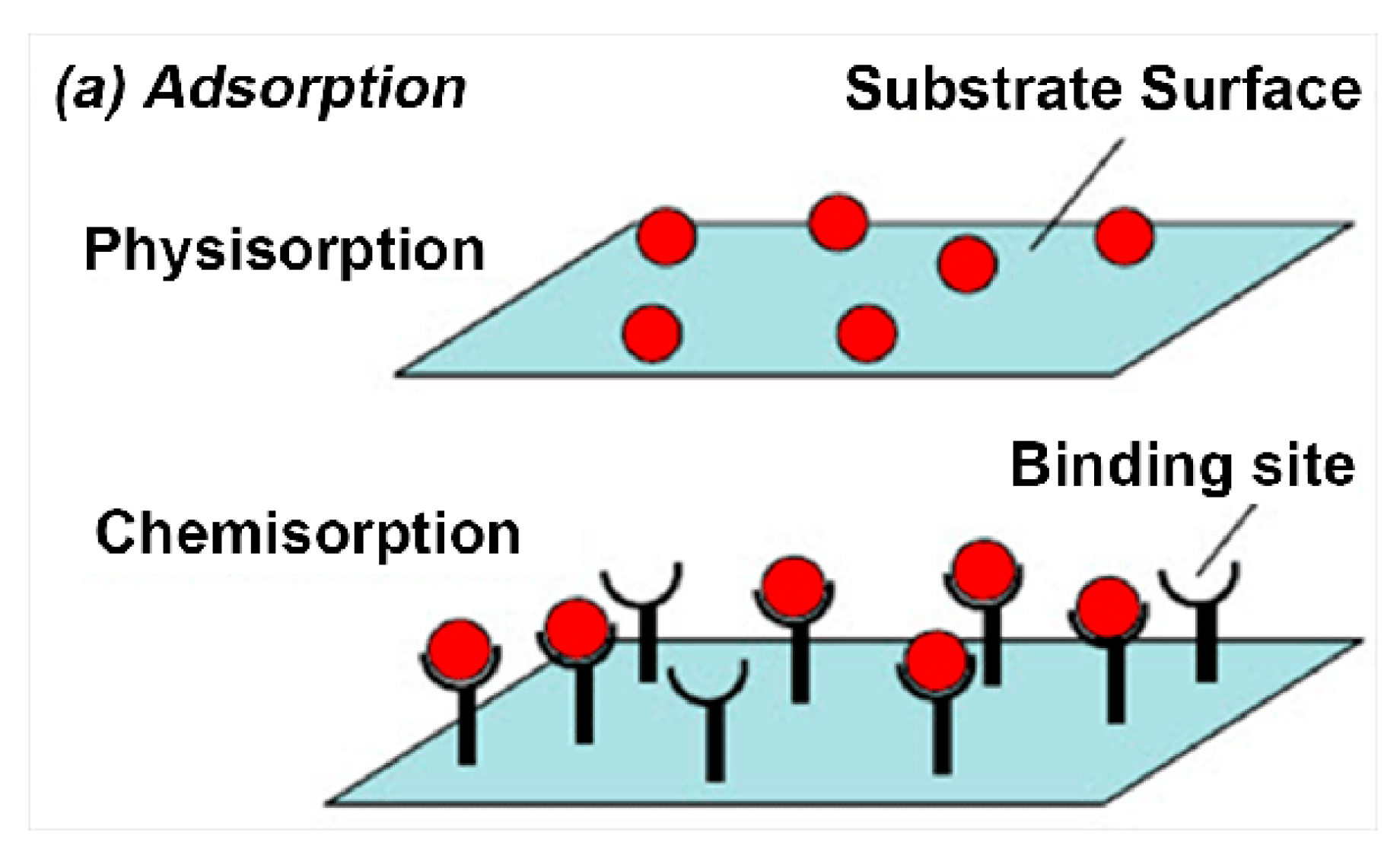 Environments 12 00302 g002 Environments 12 00302 g002