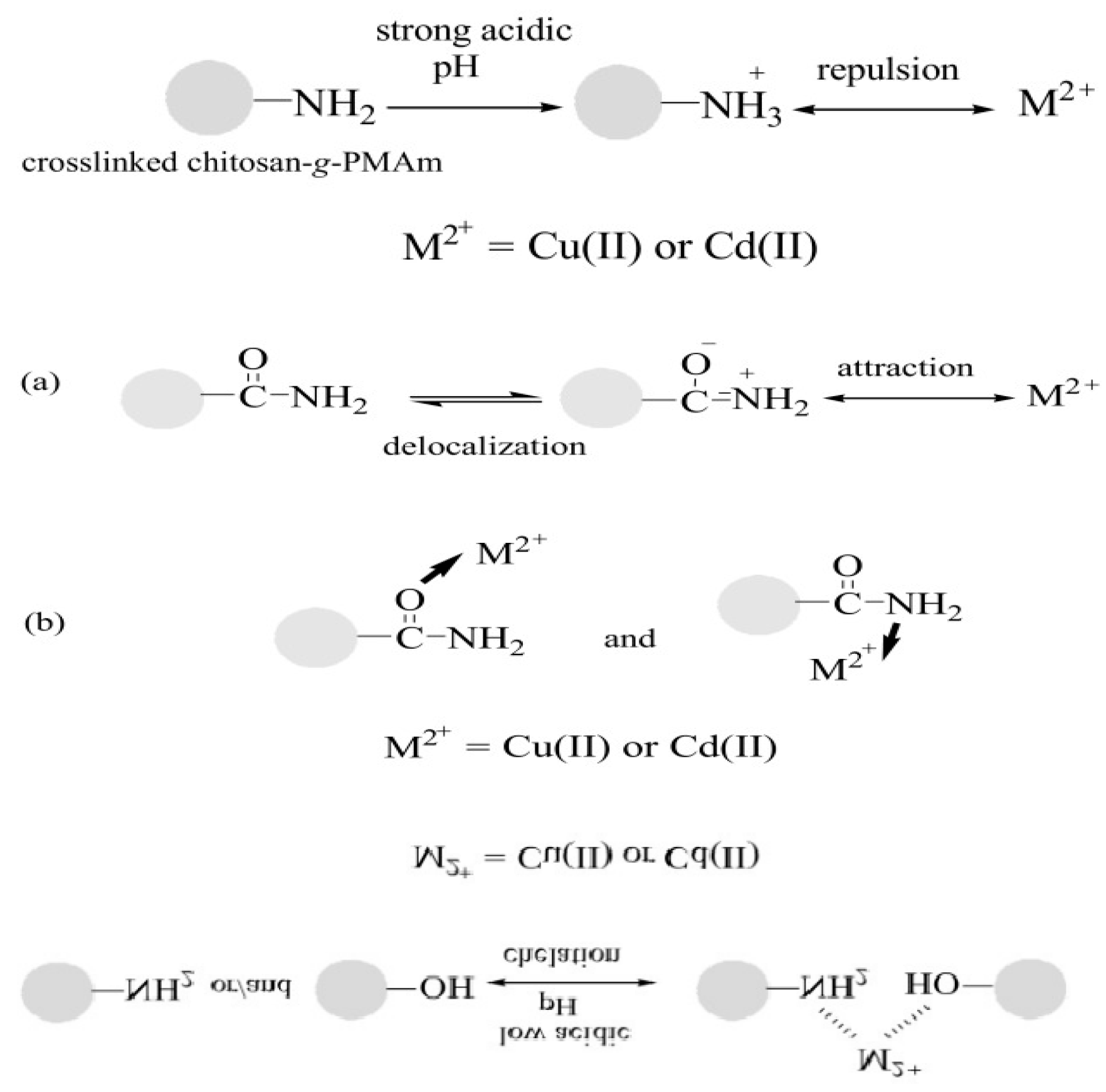 Environments 12 00302 g004 Environments 12 00302 g004
