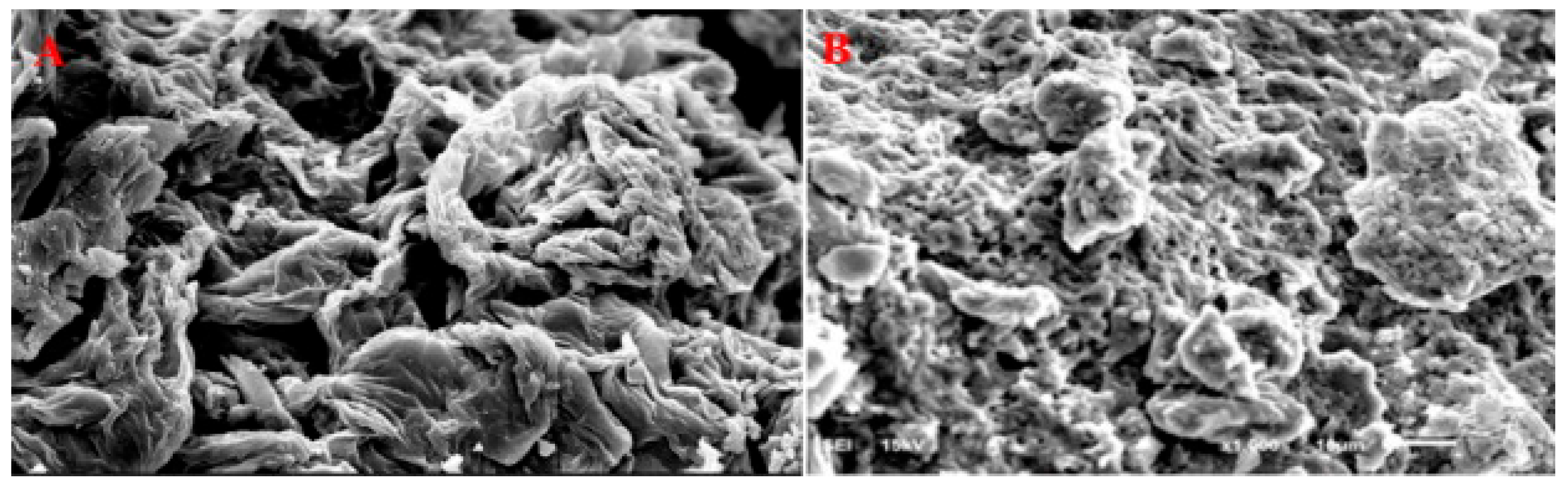 Environments 12 00302 g005 Environments 12 00302 g005