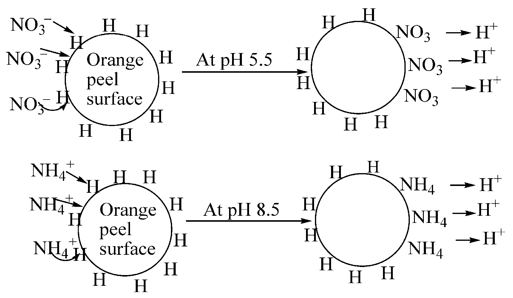 Environments 12 00302 g006 Environments 12 00302 g006
