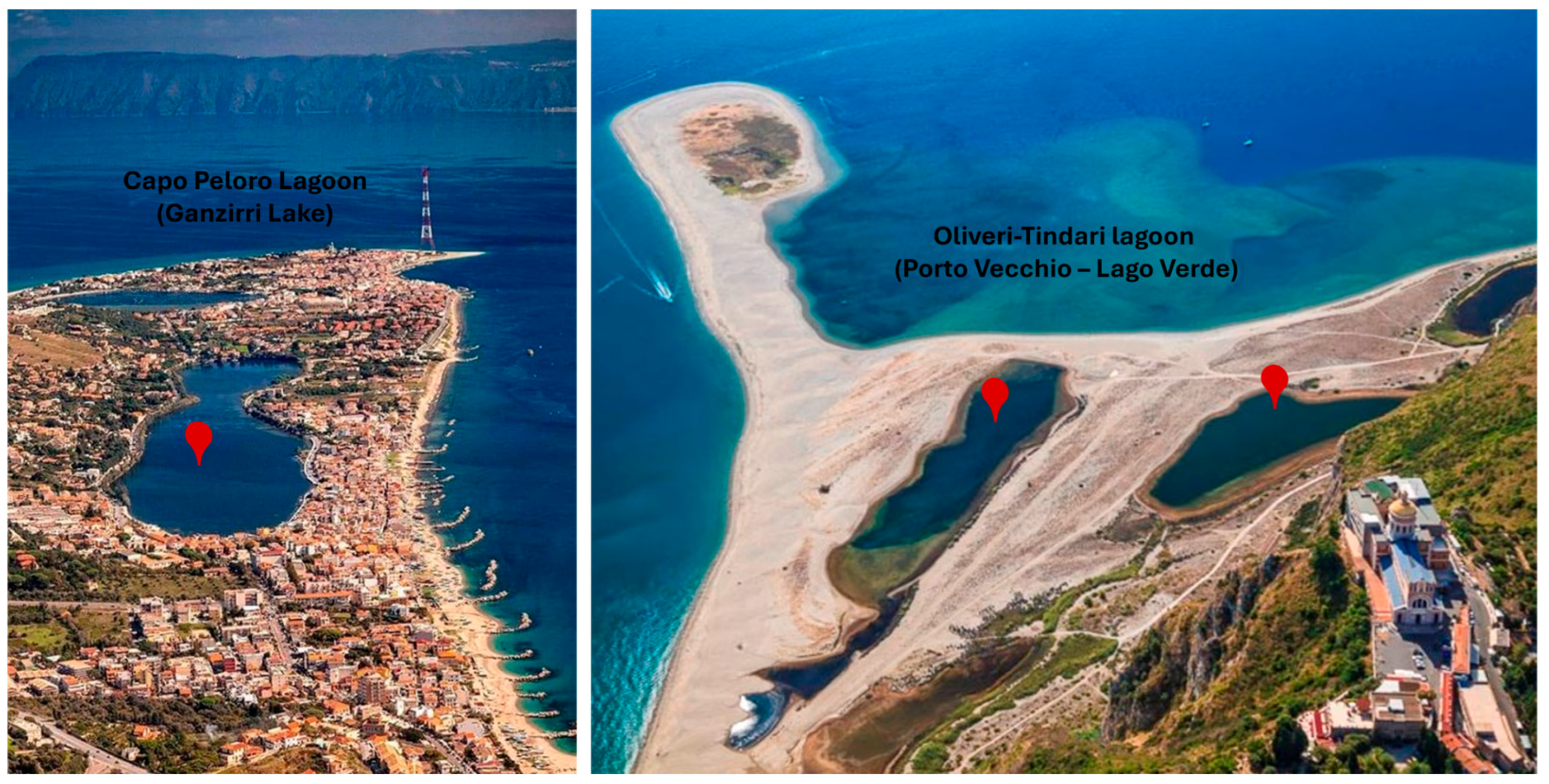 Environments 12 00305 g001 Environments 12 00305 g001