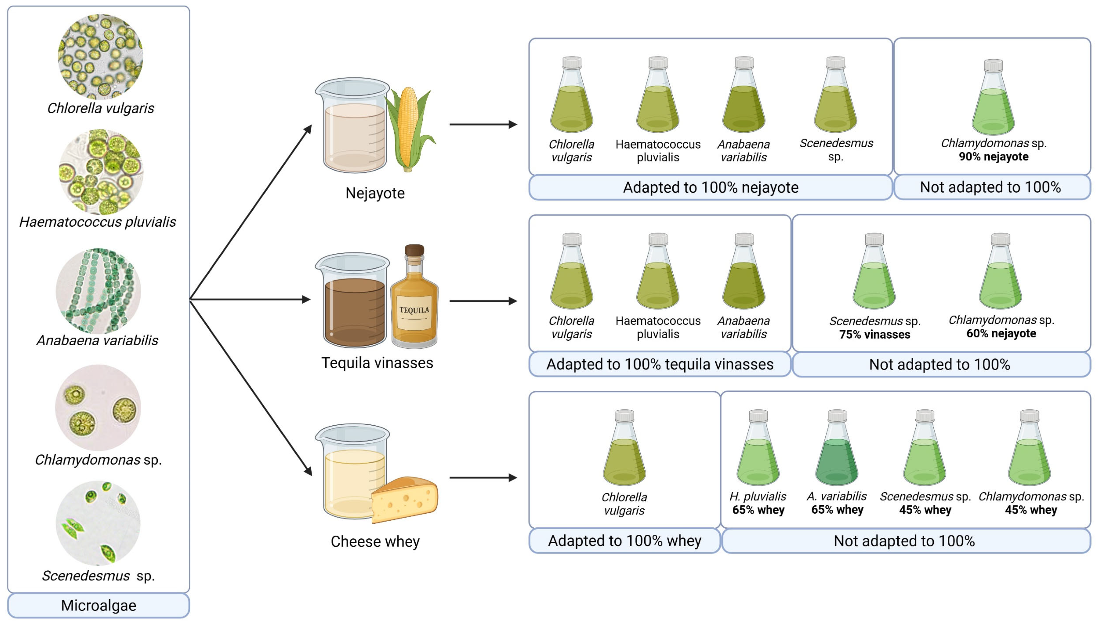 Environments 12 00307 g001 Environments 12 00307 g001