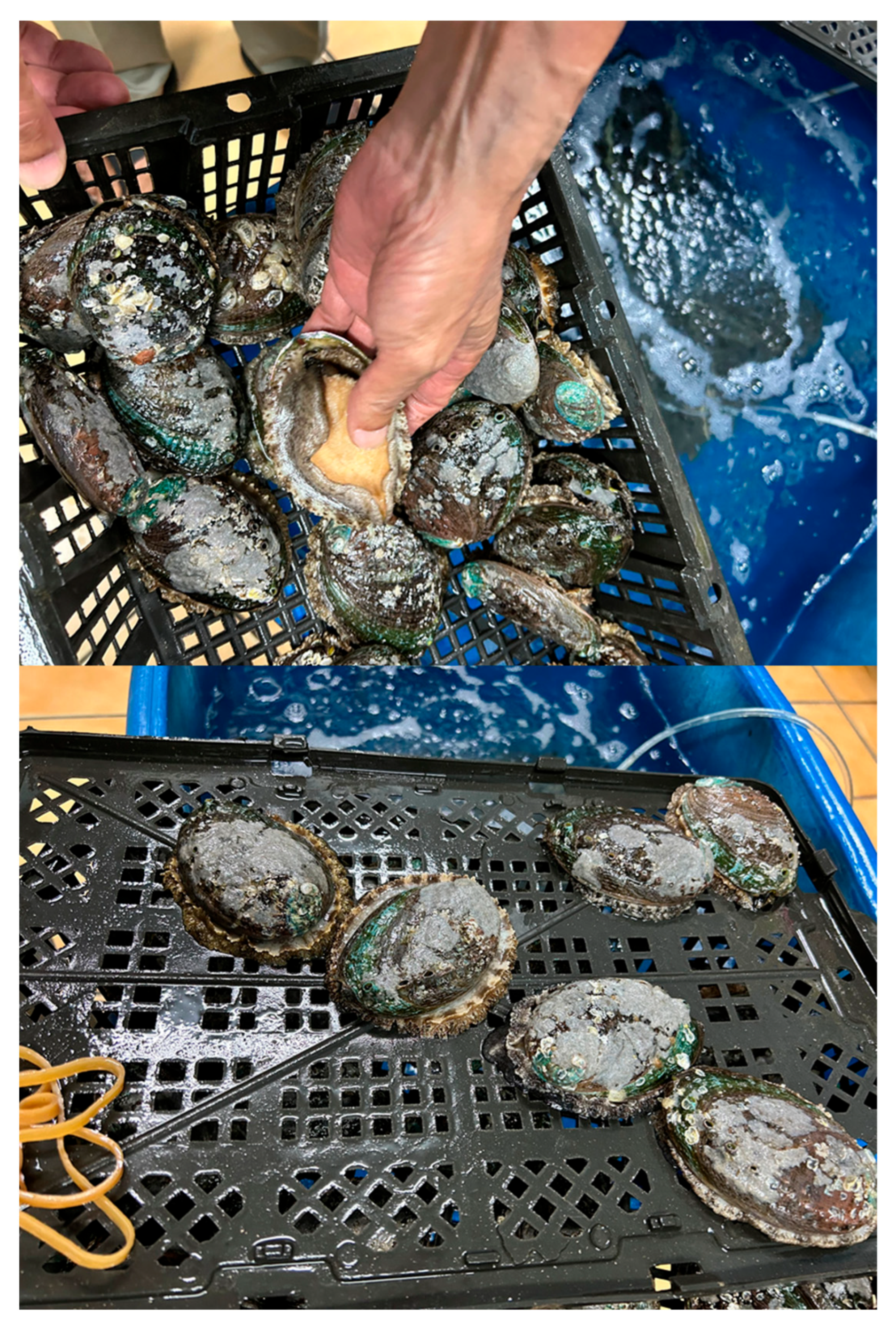 Environments 12 00313 g002