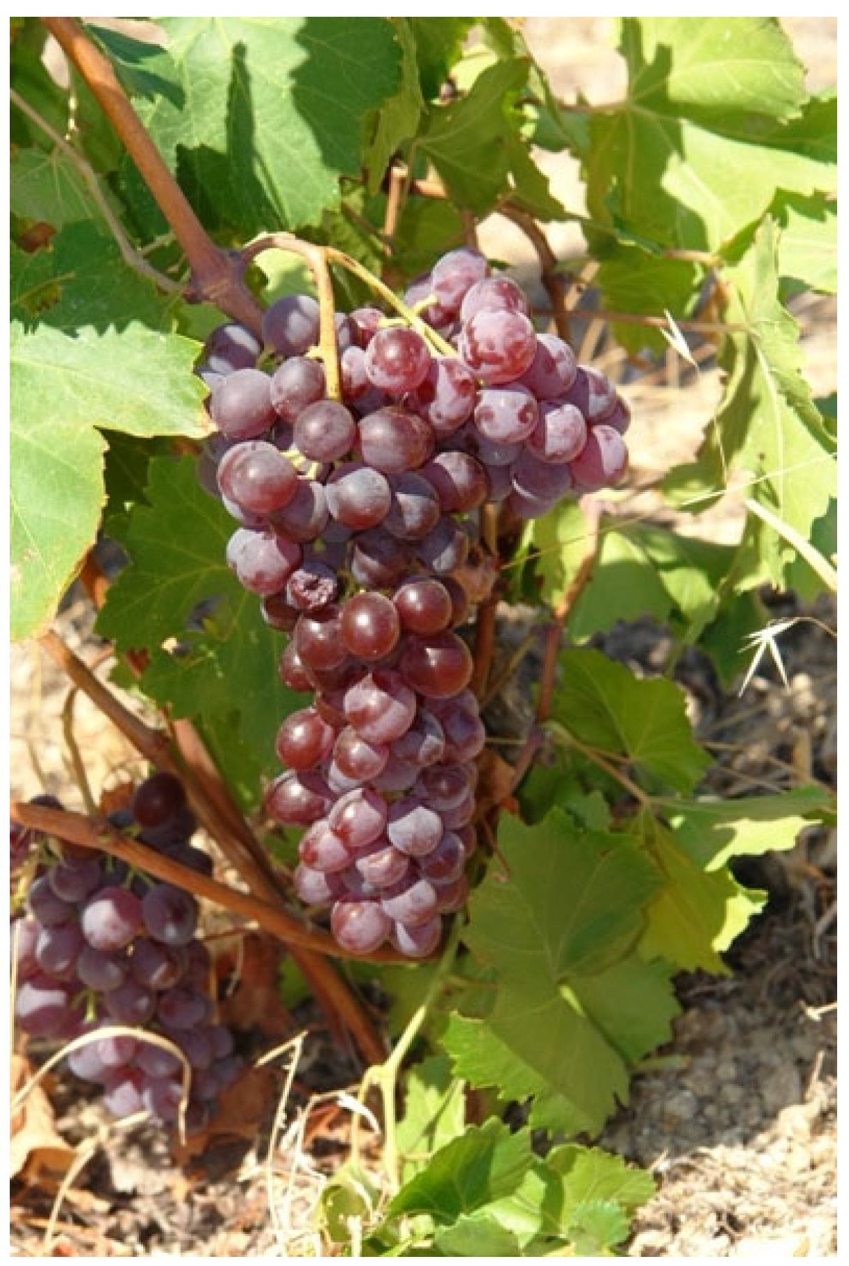 Environments 12 00320 g001