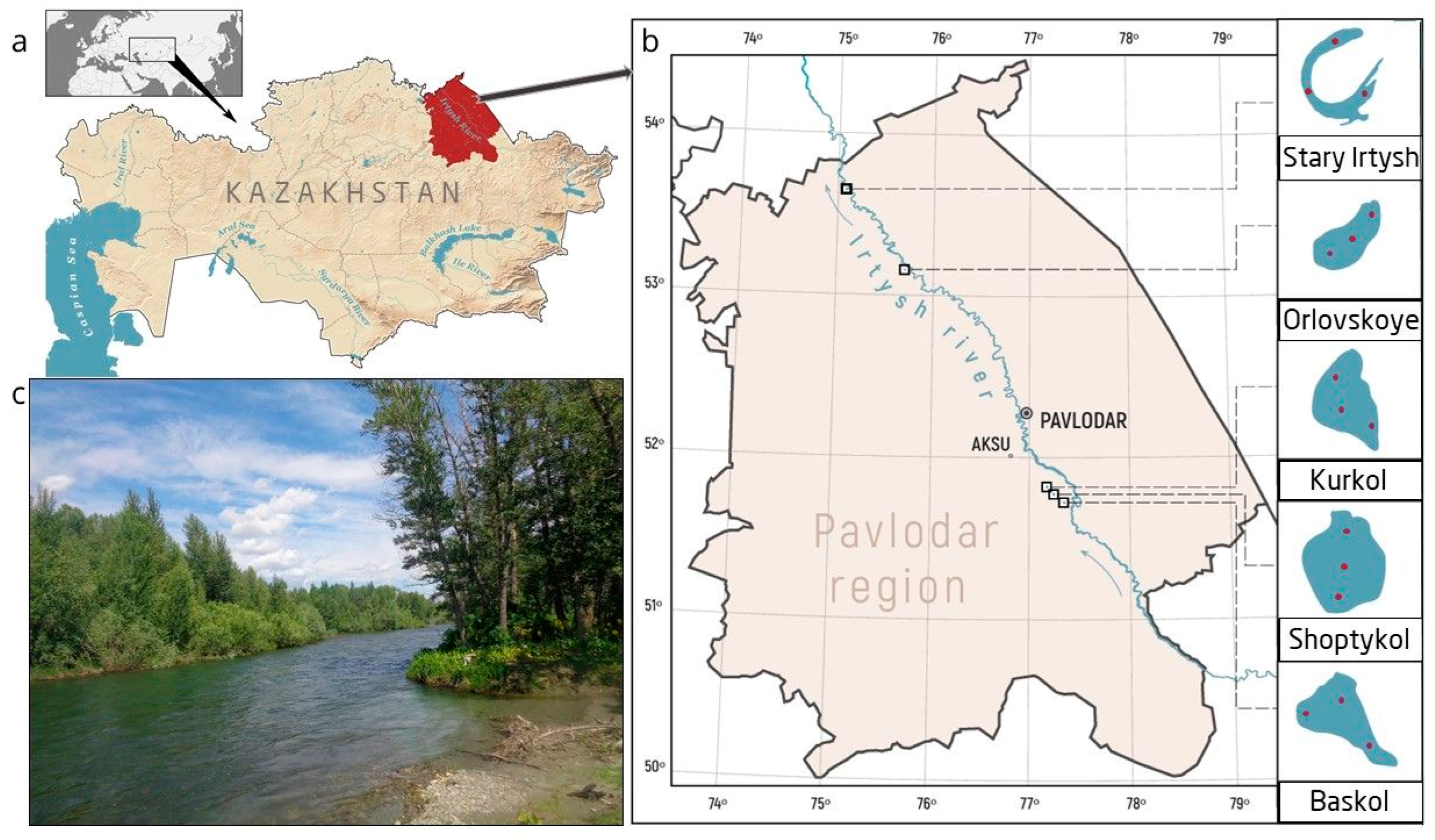 Environments 12 00322 g001 Environments 12 00322 g001