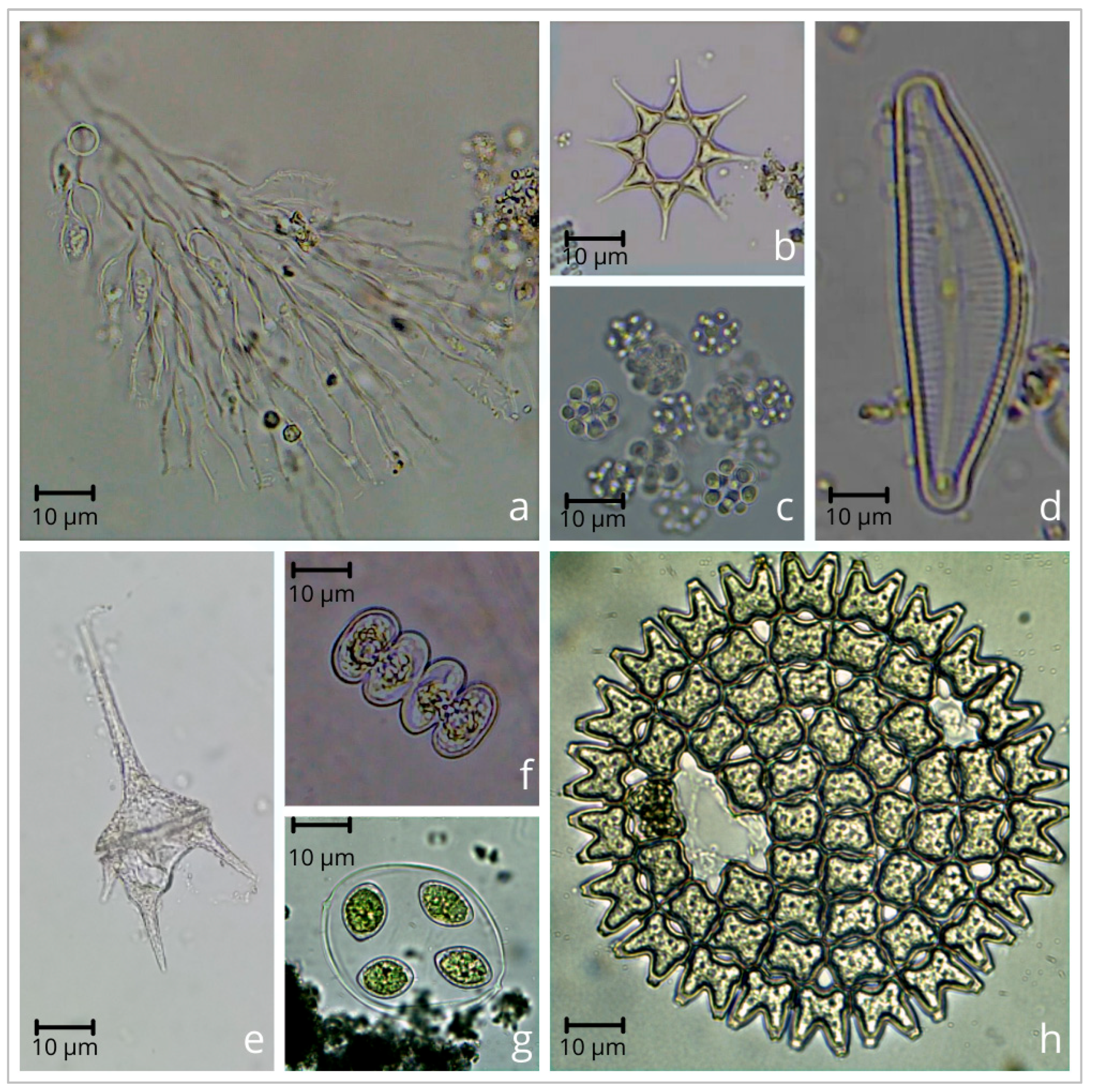 Environments 12 00322 g0a1 Environments 12 00322 g0a1