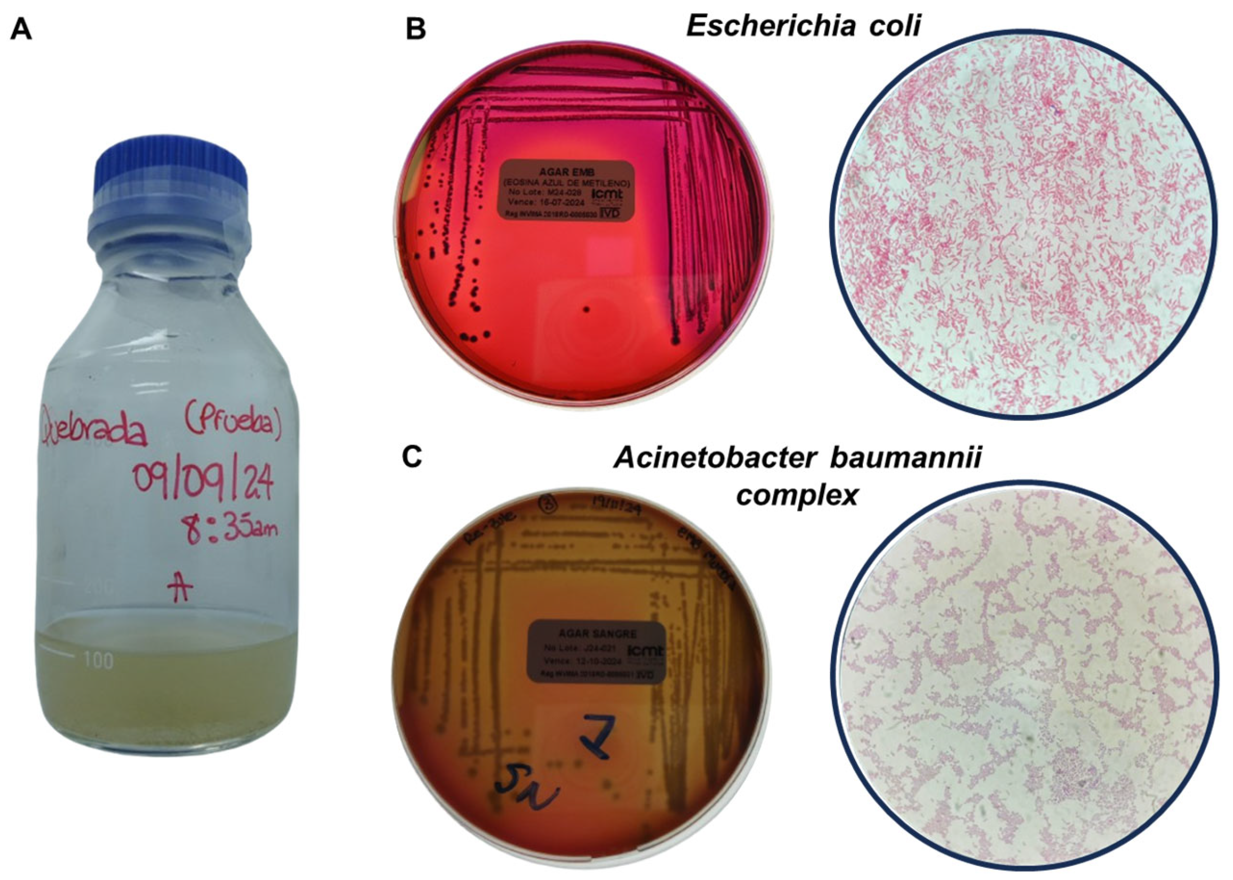 Environments 12 00329 g001 Environments 12 00329 g001