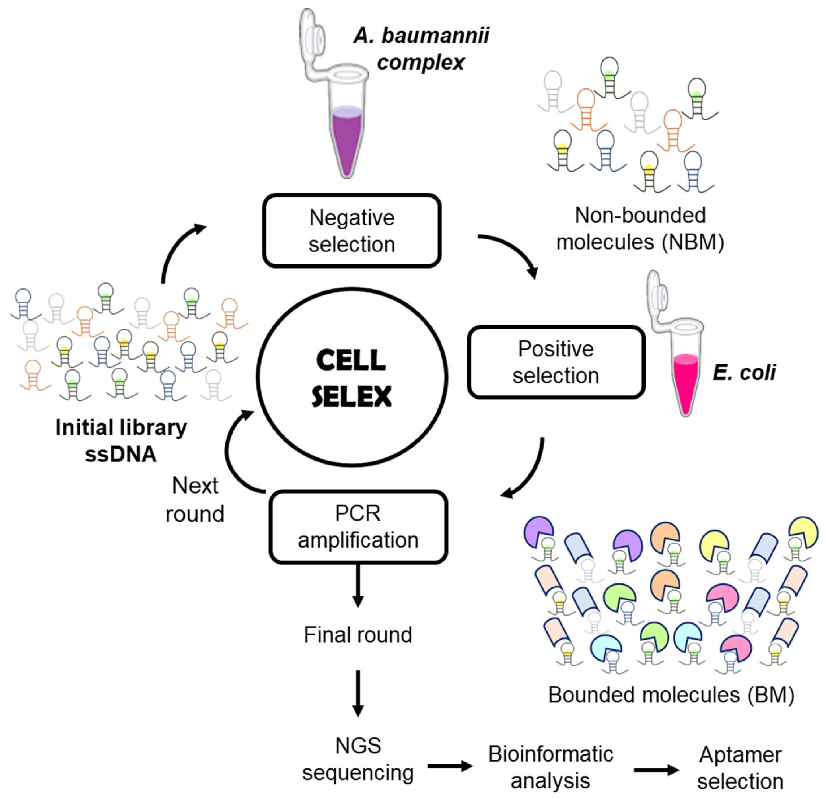 Environments 12 00329 g002 Environments 12 00329 g002