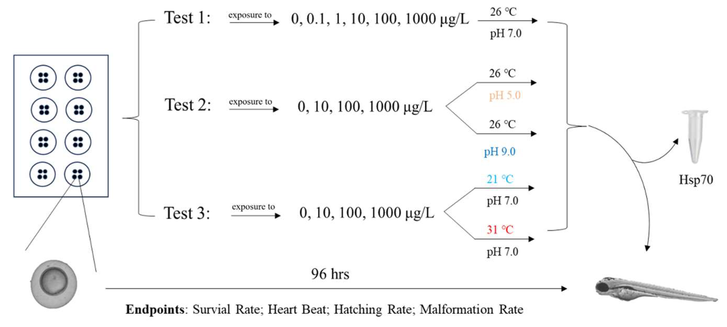 Environments 12 00334 g001