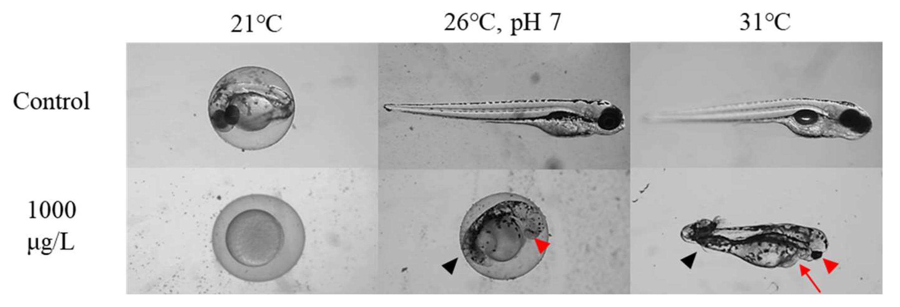 Environments 12 00334 g008