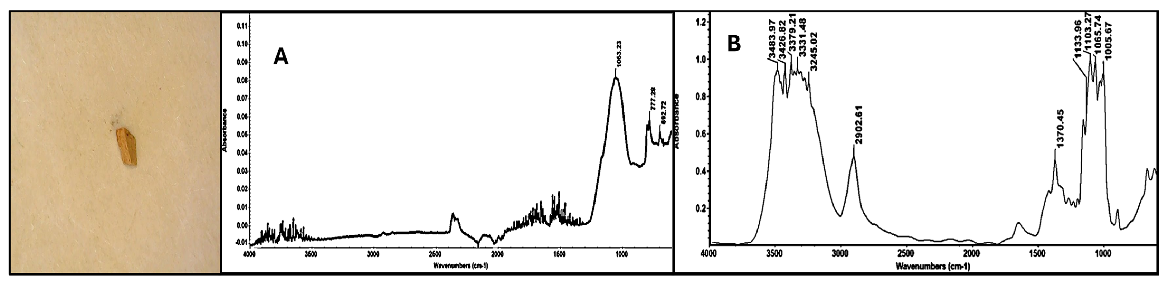 Environments 12 00342 g004 Environments 12 00342 g004