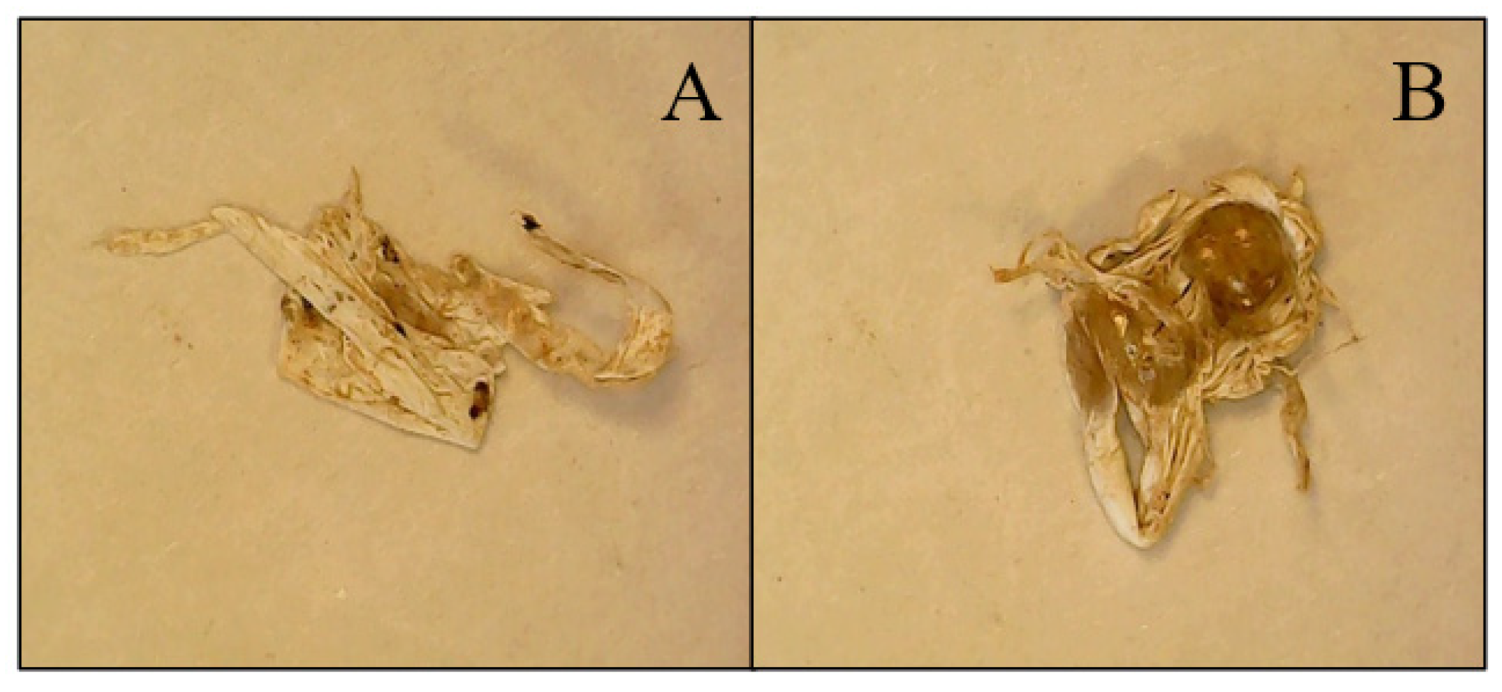 Environments 12 00342 g006 Environments 12 00342 g006