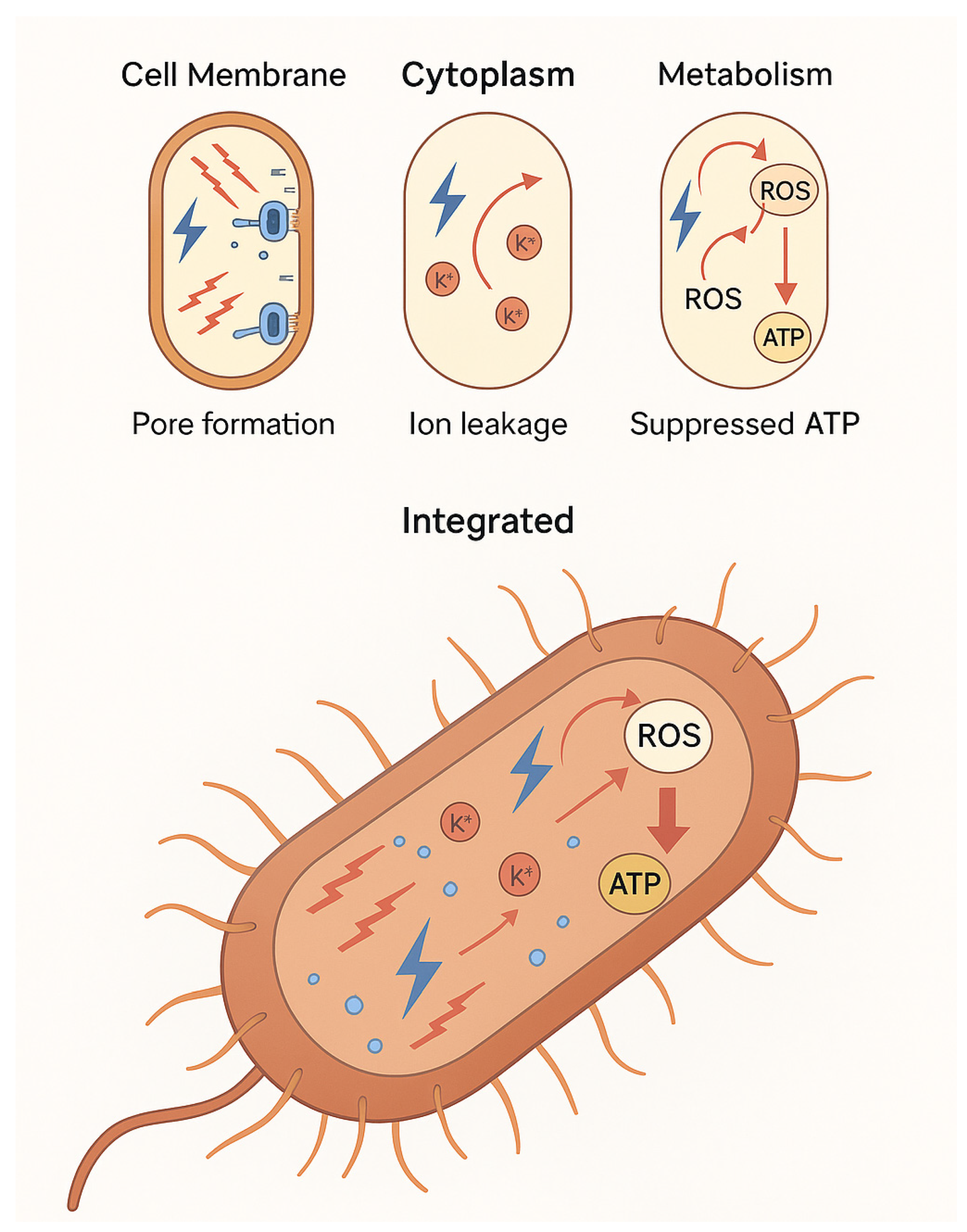 Environments 12 00343 g005 Environments 12 00343 g005