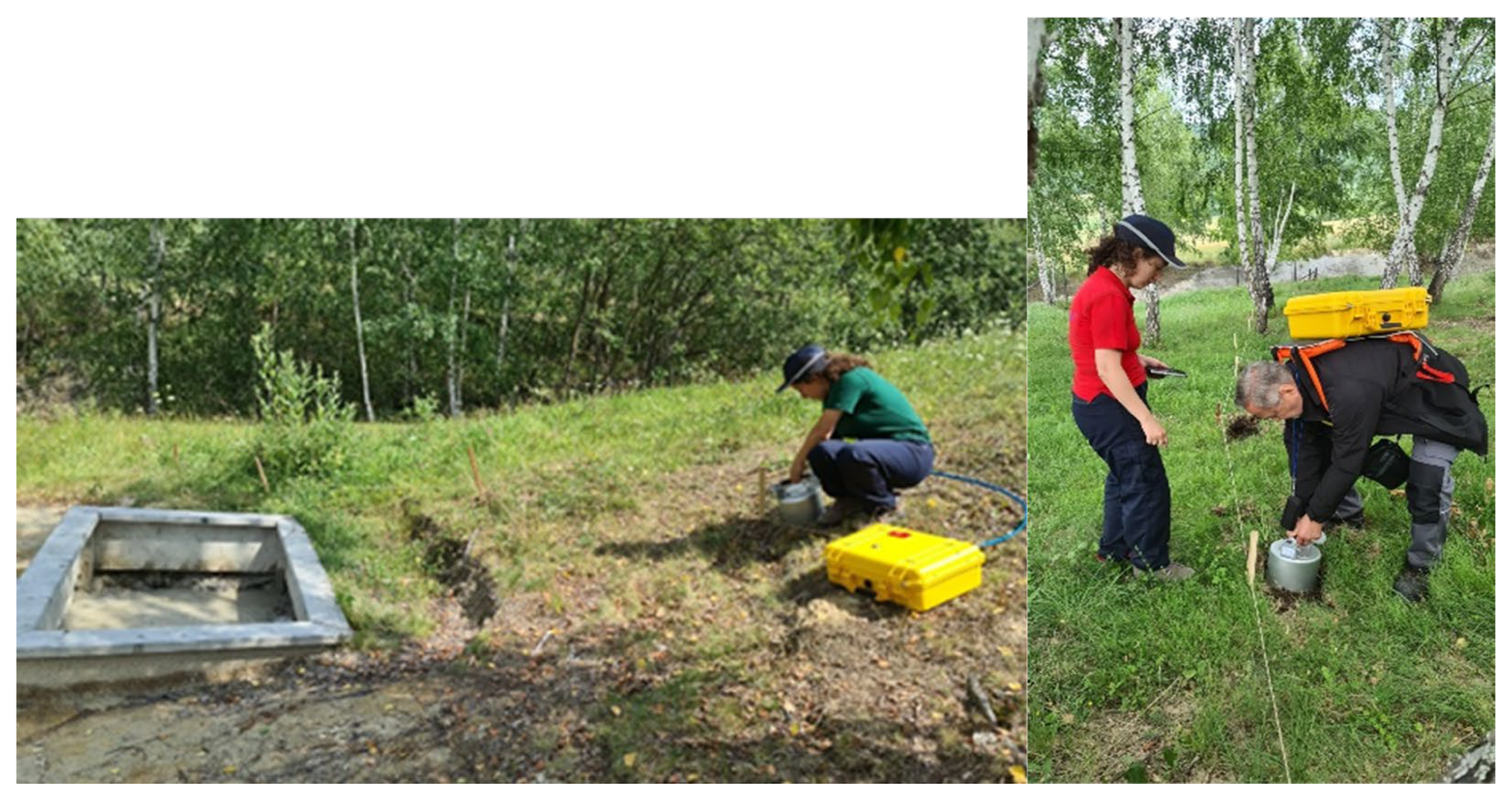 Environments 12 00344 g002