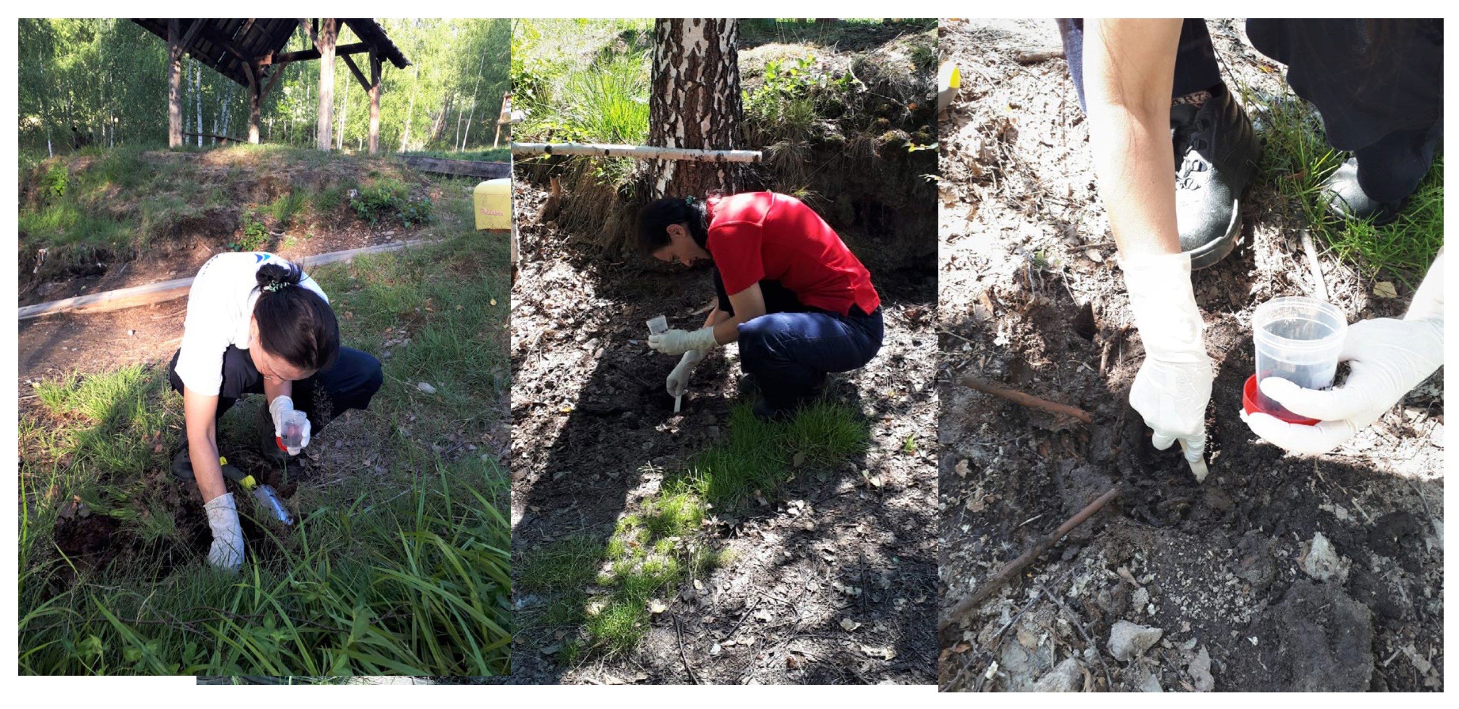 Environments 12 00344 g003