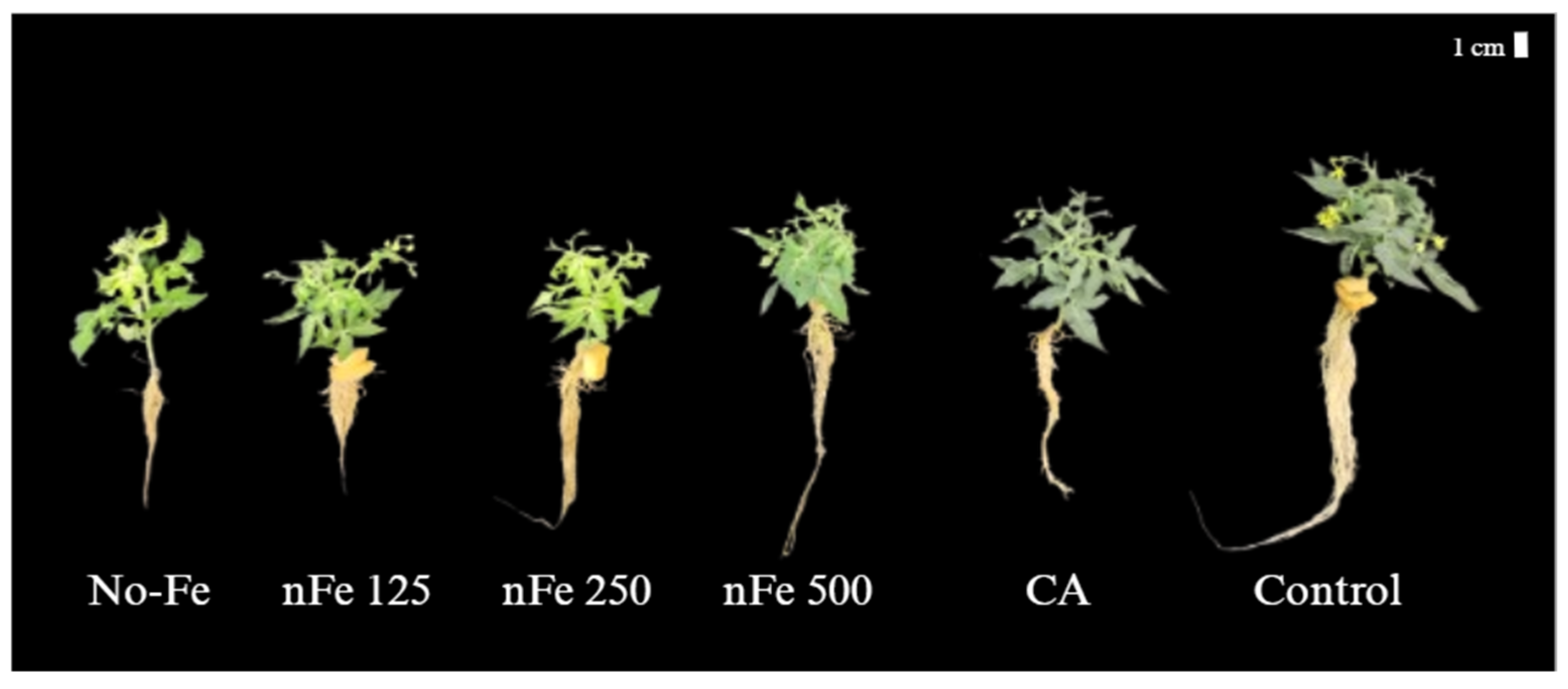 Environments 12 00346 g001 Environments 12 00346 g001