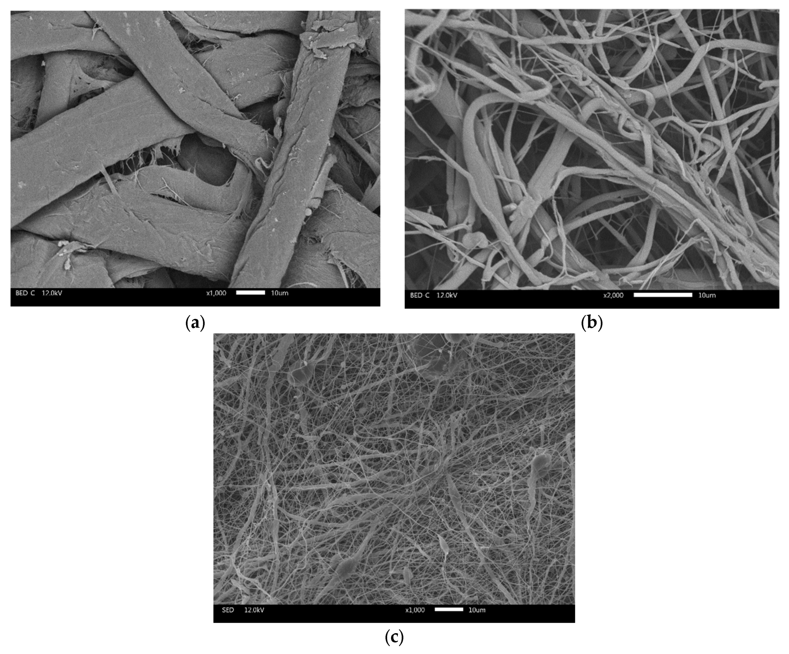 Environments 12 00355 g003 Environments 12 00355 g003