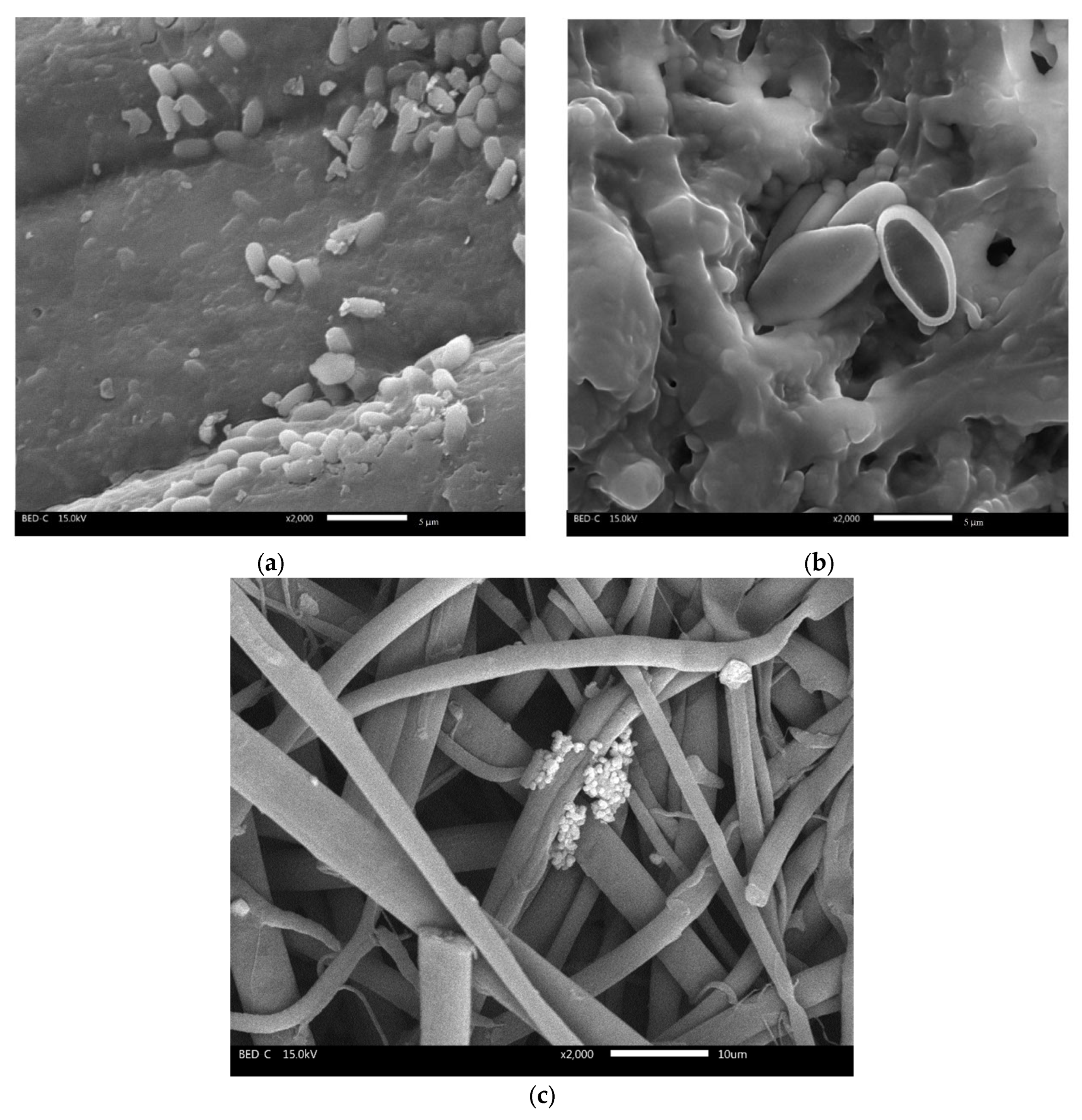 Environments 12 00355 g008 Environments 12 00355 g008