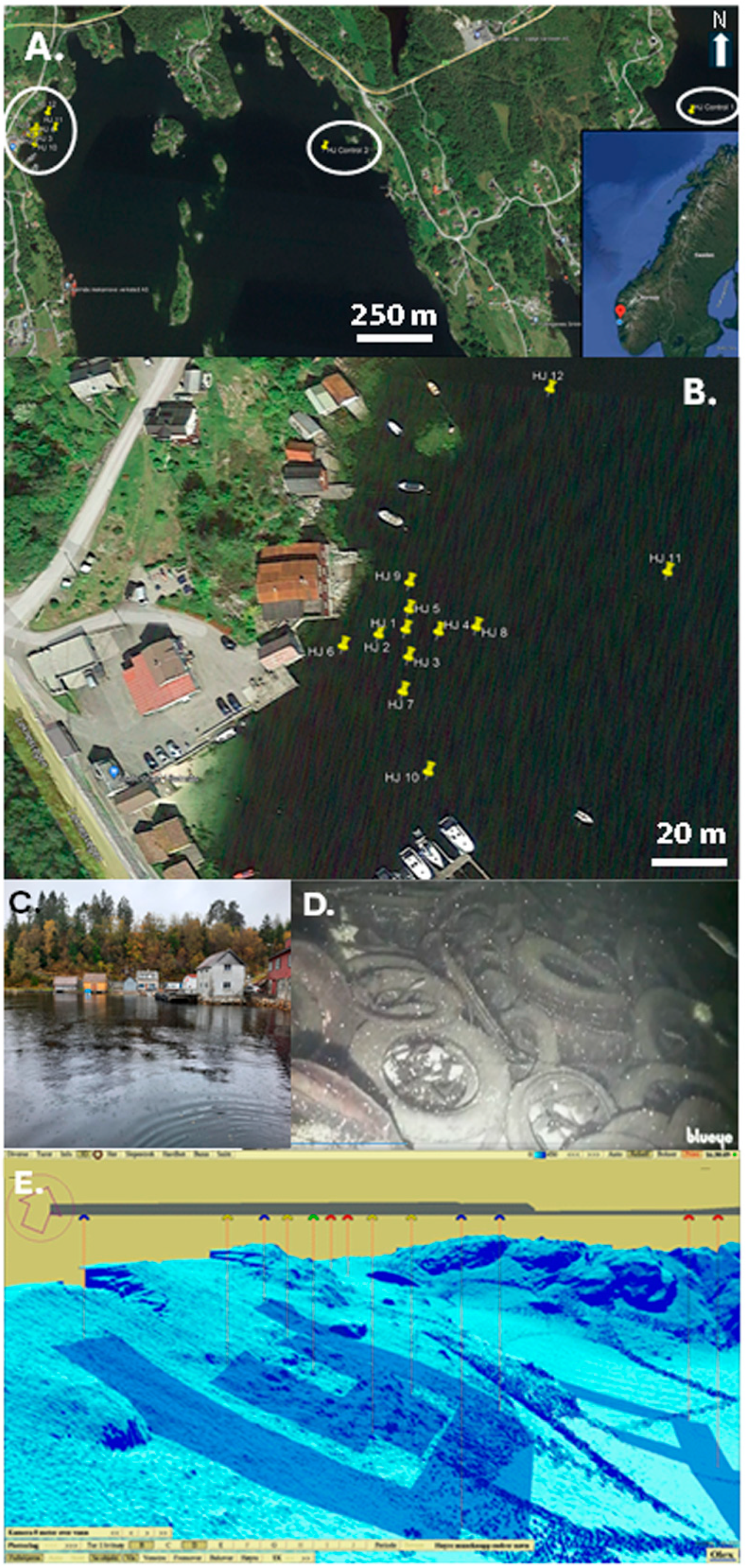 Environments 12 00356 g001 Environments 12 00356 g001