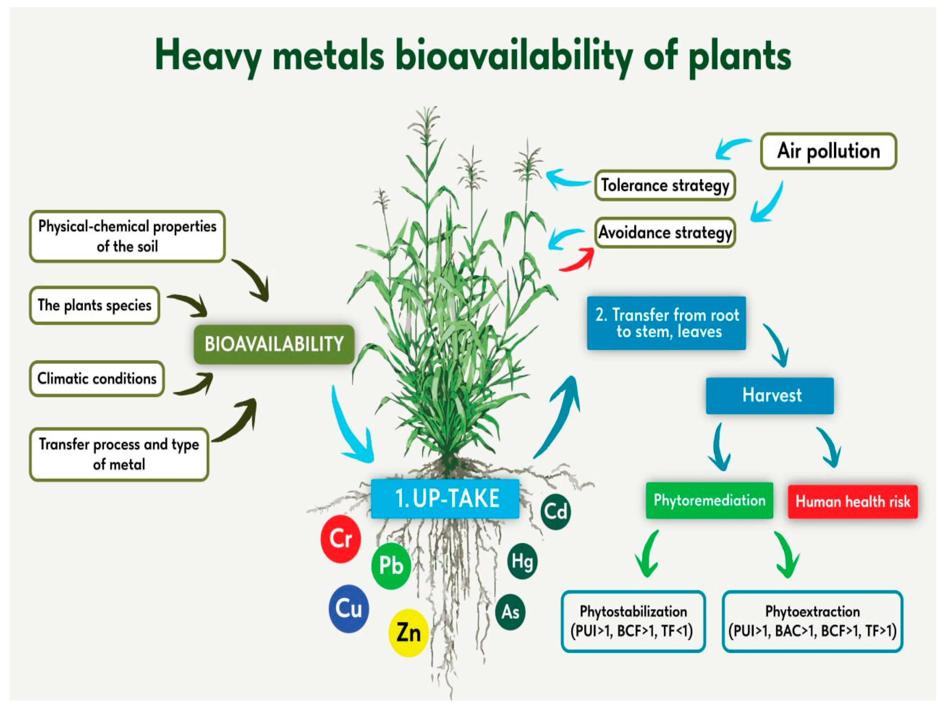 Environments 12 00360 g001 Environments 12 00360 g001