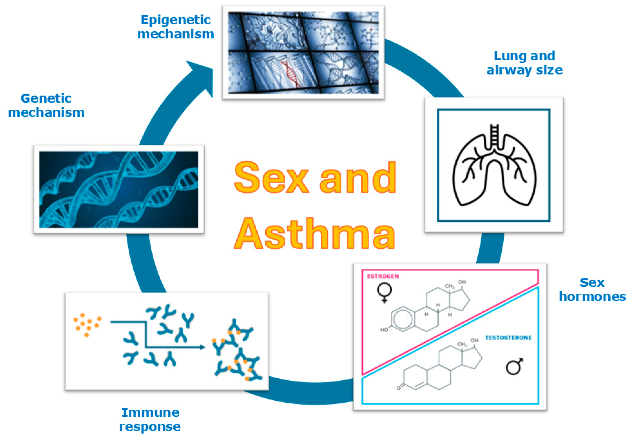 Environments 12 00382 g002