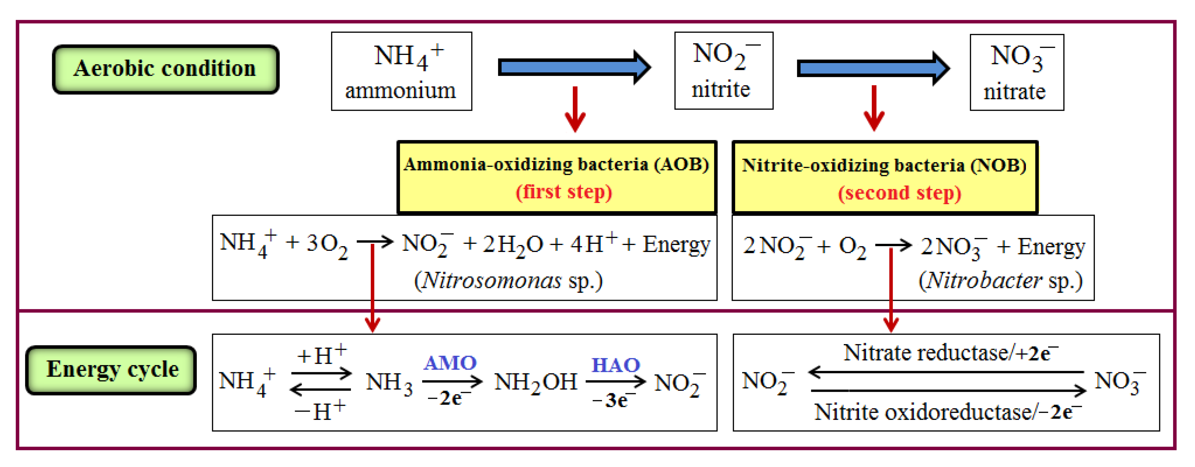 Environments 12 00383 g001 Environments 12 00383 g001