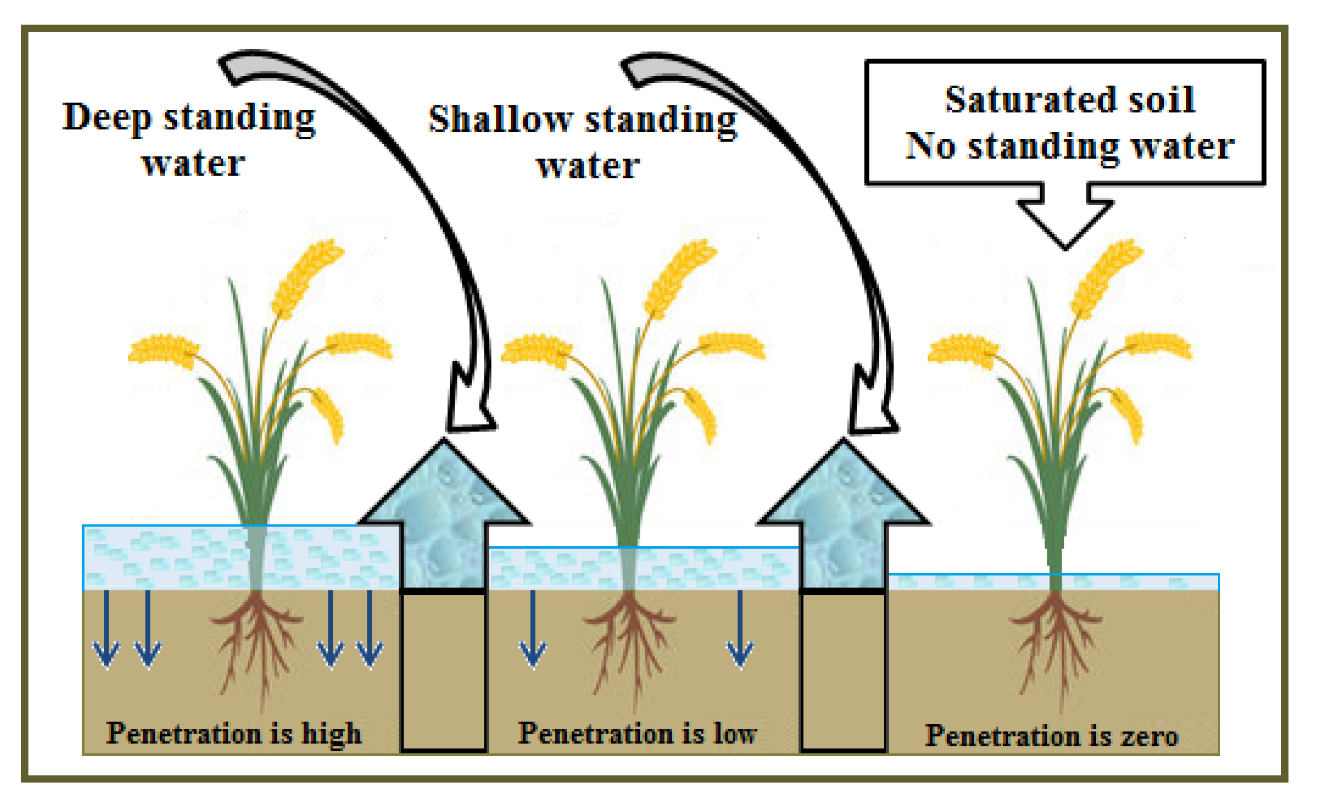 Environments 12 00383 g004 Environments 12 00383 g004