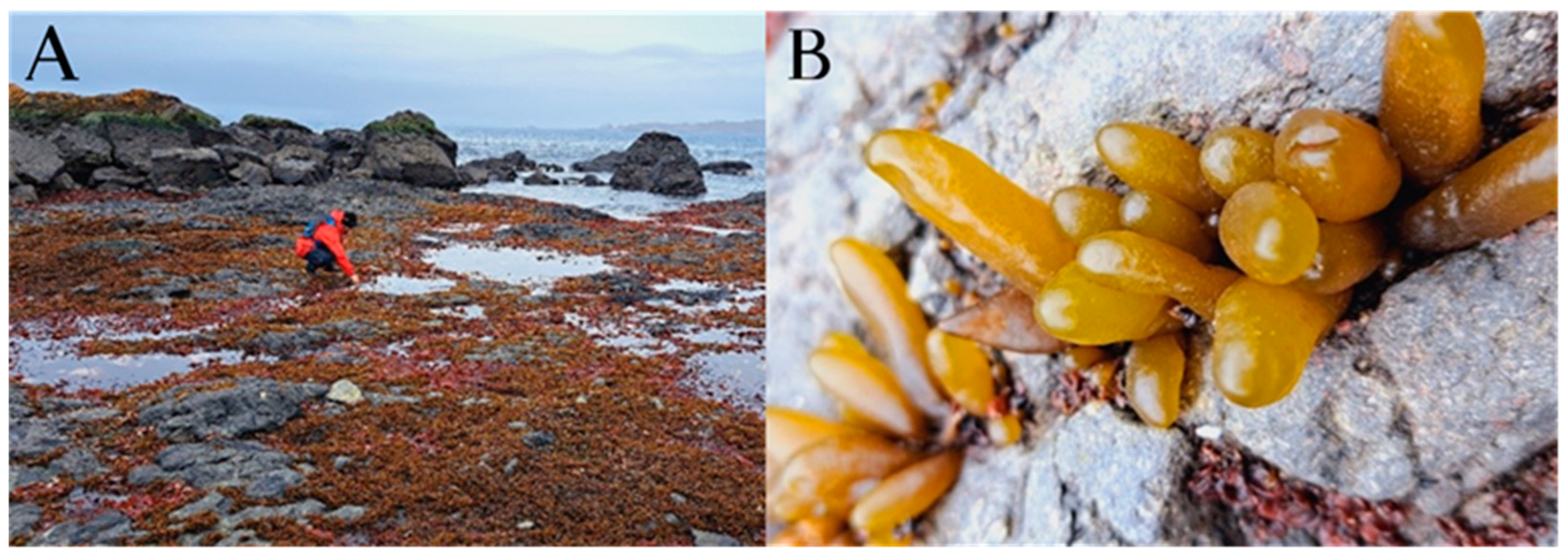 Environments 12 00390 g001