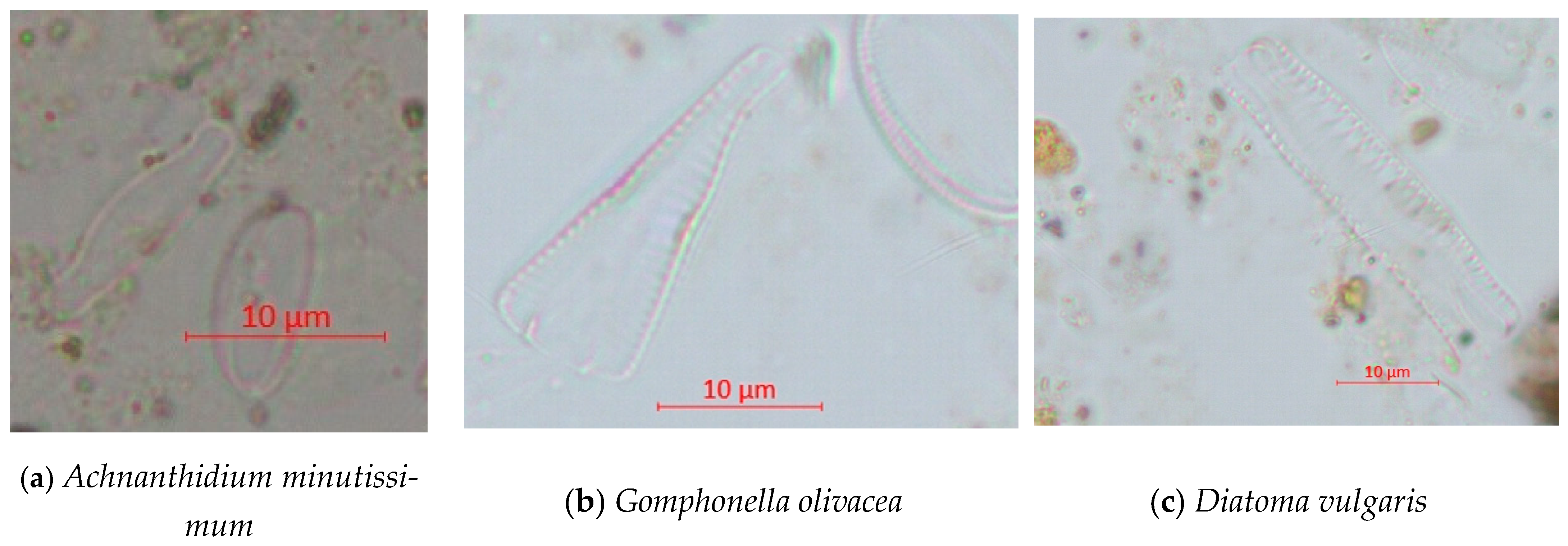 Environments 12 00398 g003a Environments 12 00398 g003a