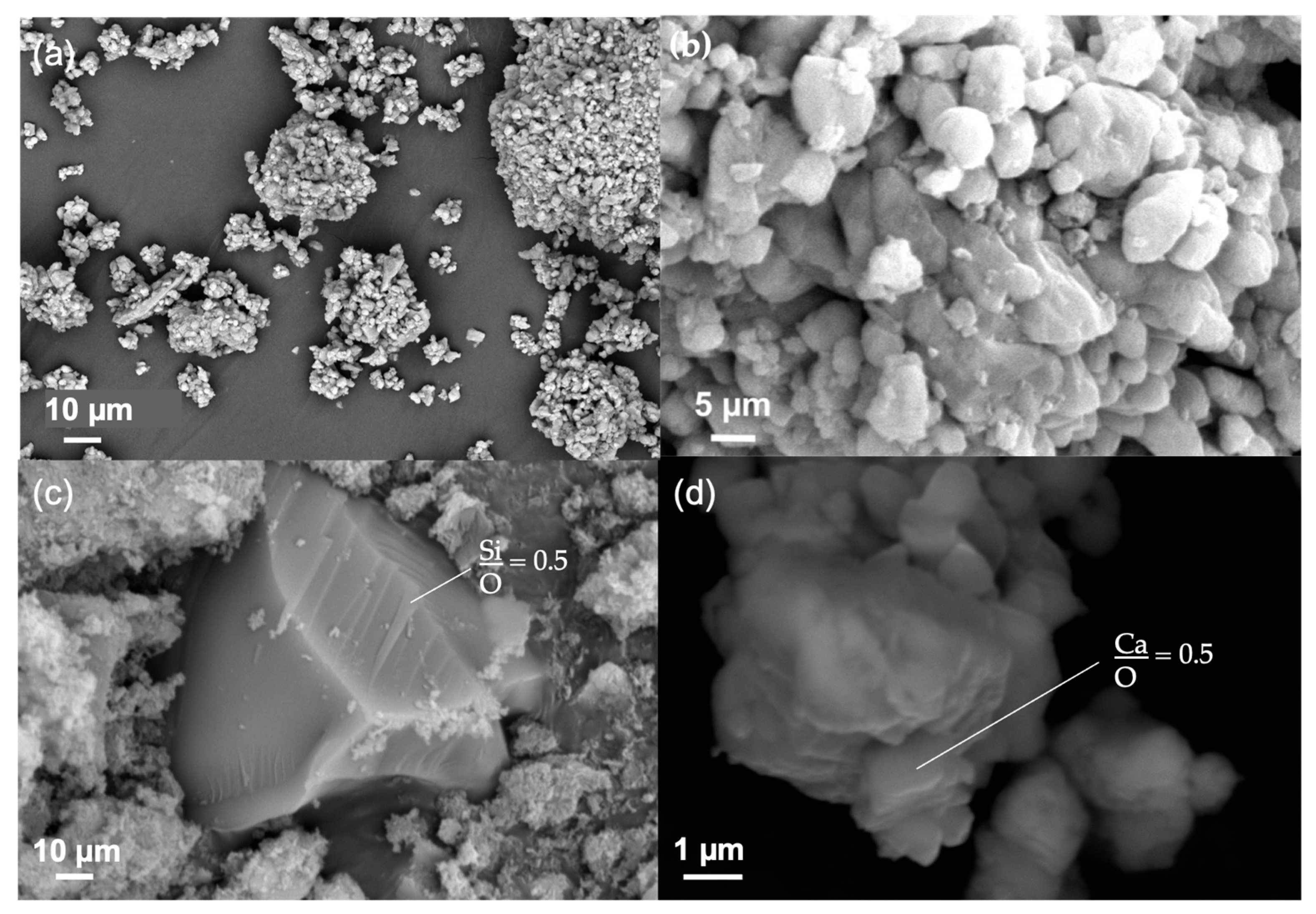 Environments 12 00405 g001 Environments 12 00405 g001