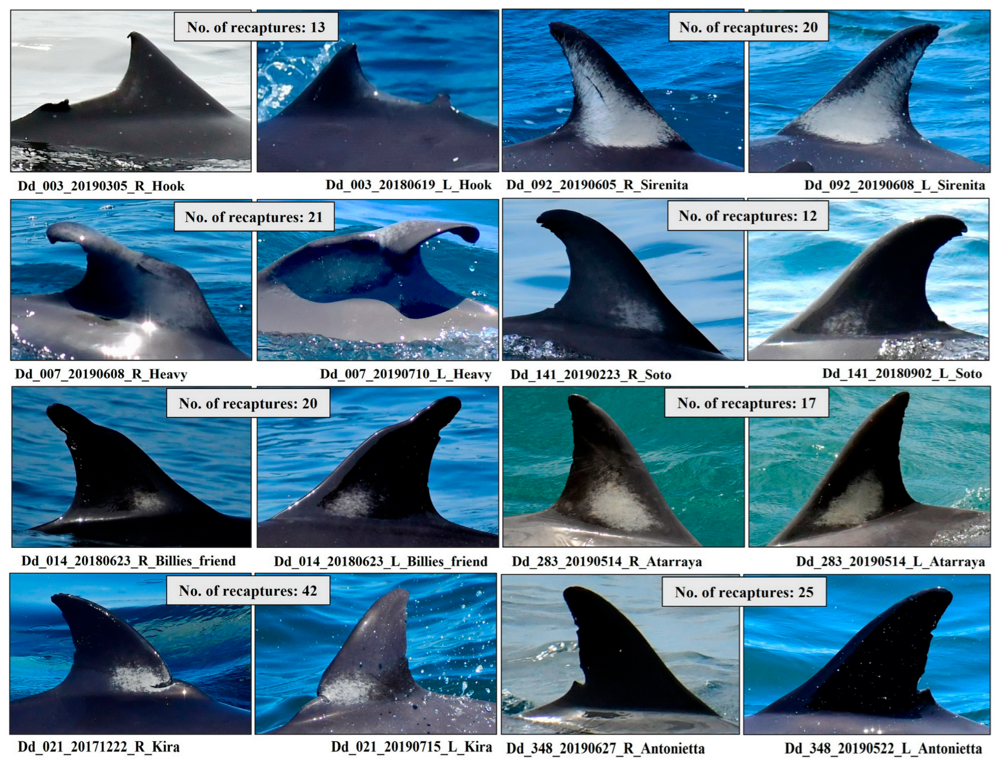 Environments 12 00406 g002 Environments 12 00406 g002