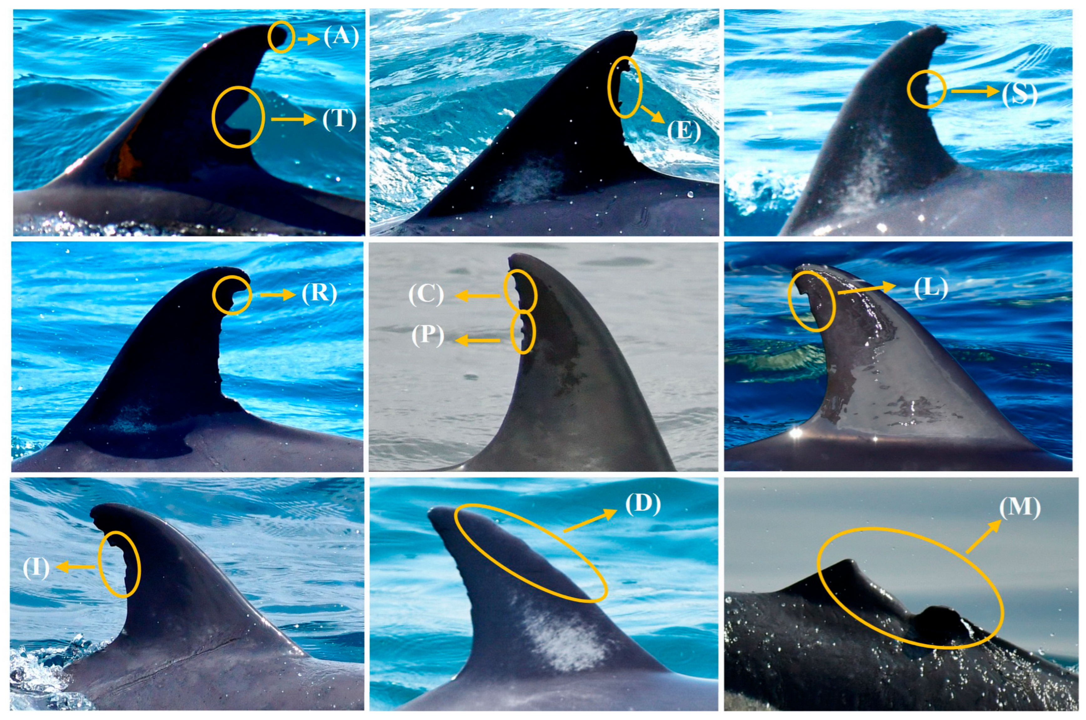 Environments 12 00406 g005 Environments 12 00406 g005