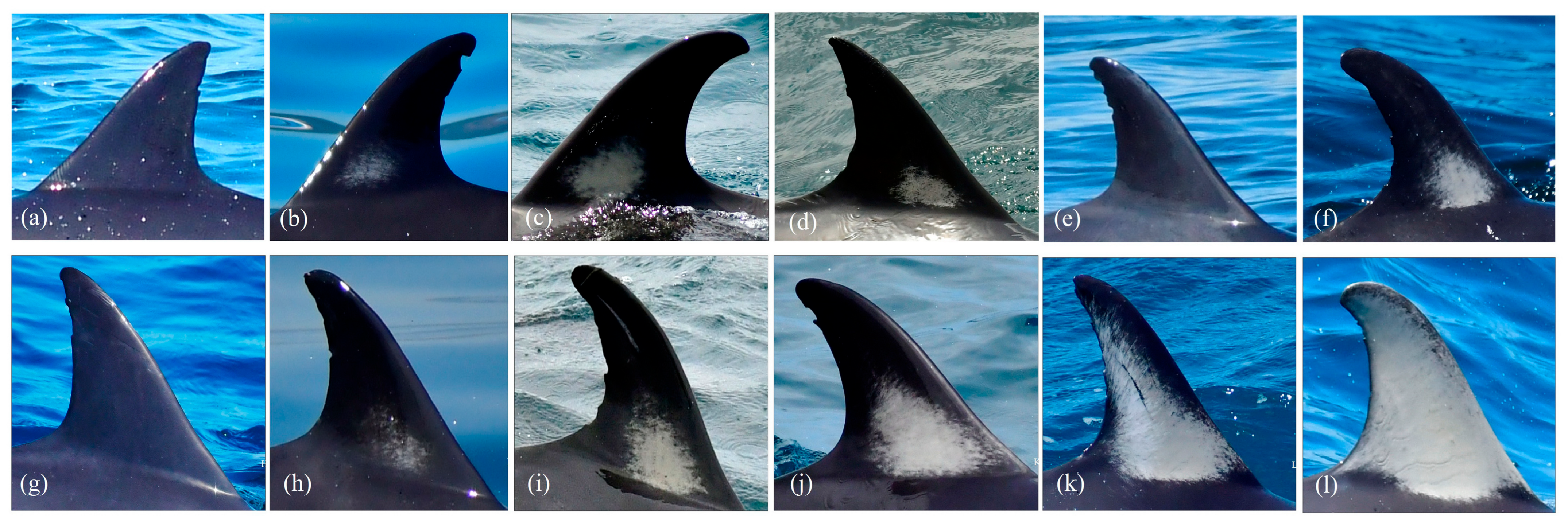 Environments 12 00406 g006 Environments 12 00406 g006