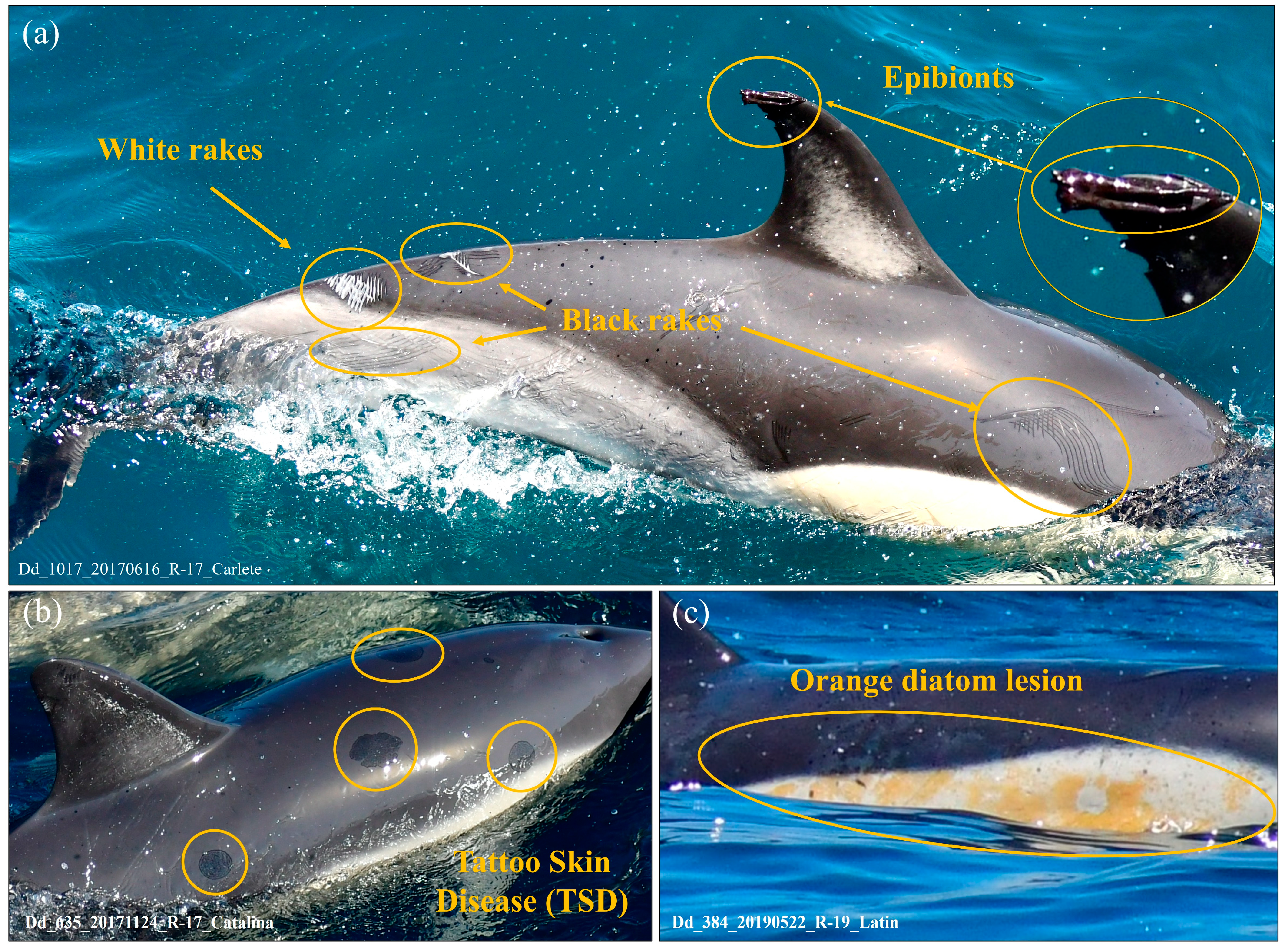 Environments 12 00406 g009 Environments 12 00406 g009