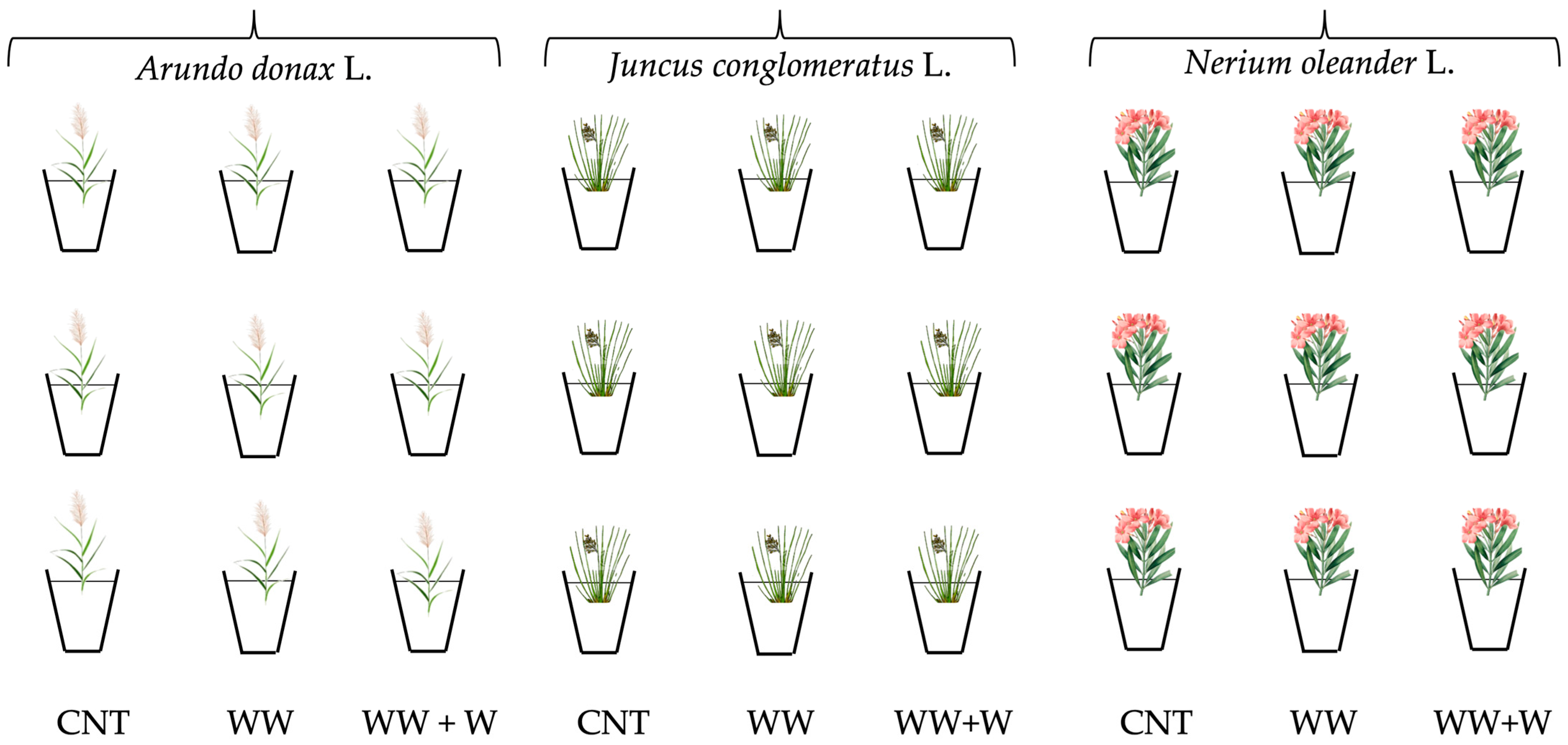 Environments 12 00414 g002