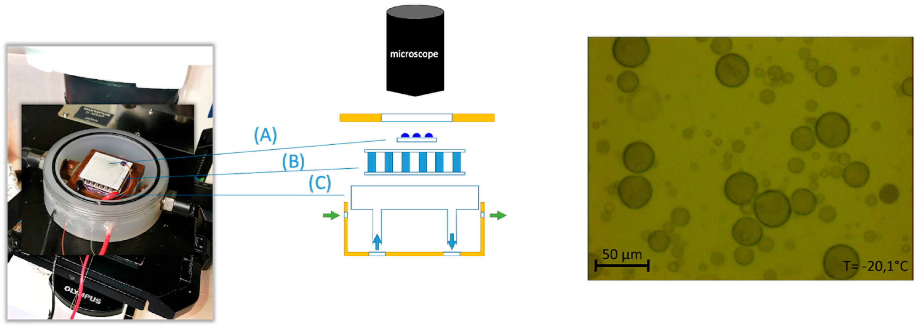 Environments 12 00416 g003 Environments 12 00416 g003