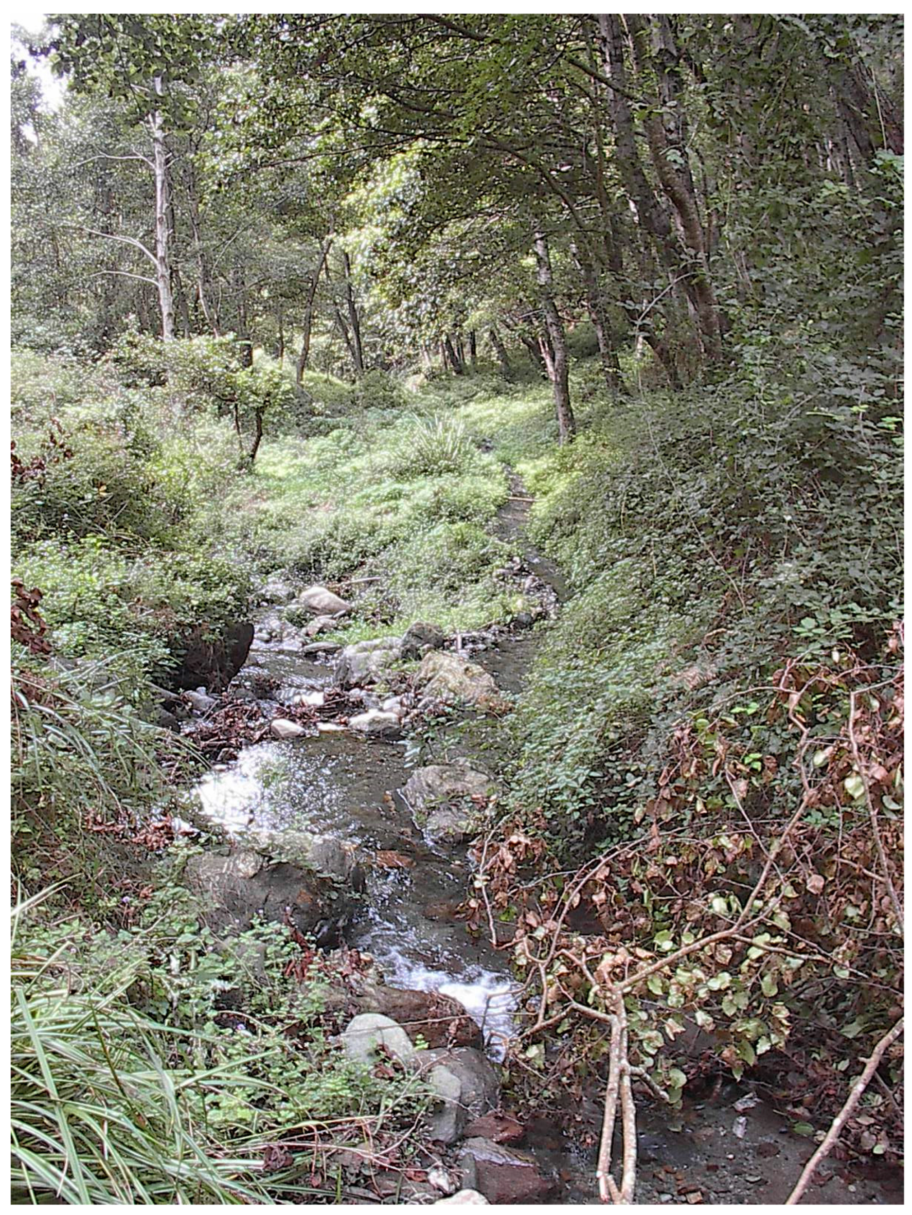 Environments 12 00426 g005 Environments 12 00426 g005