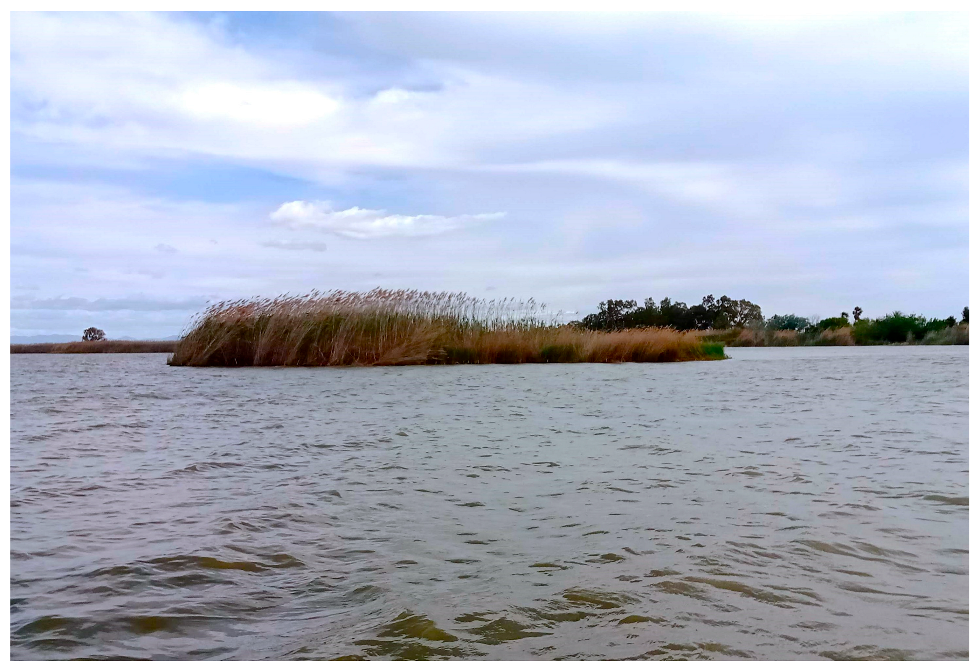 Environments 12 00432 g002