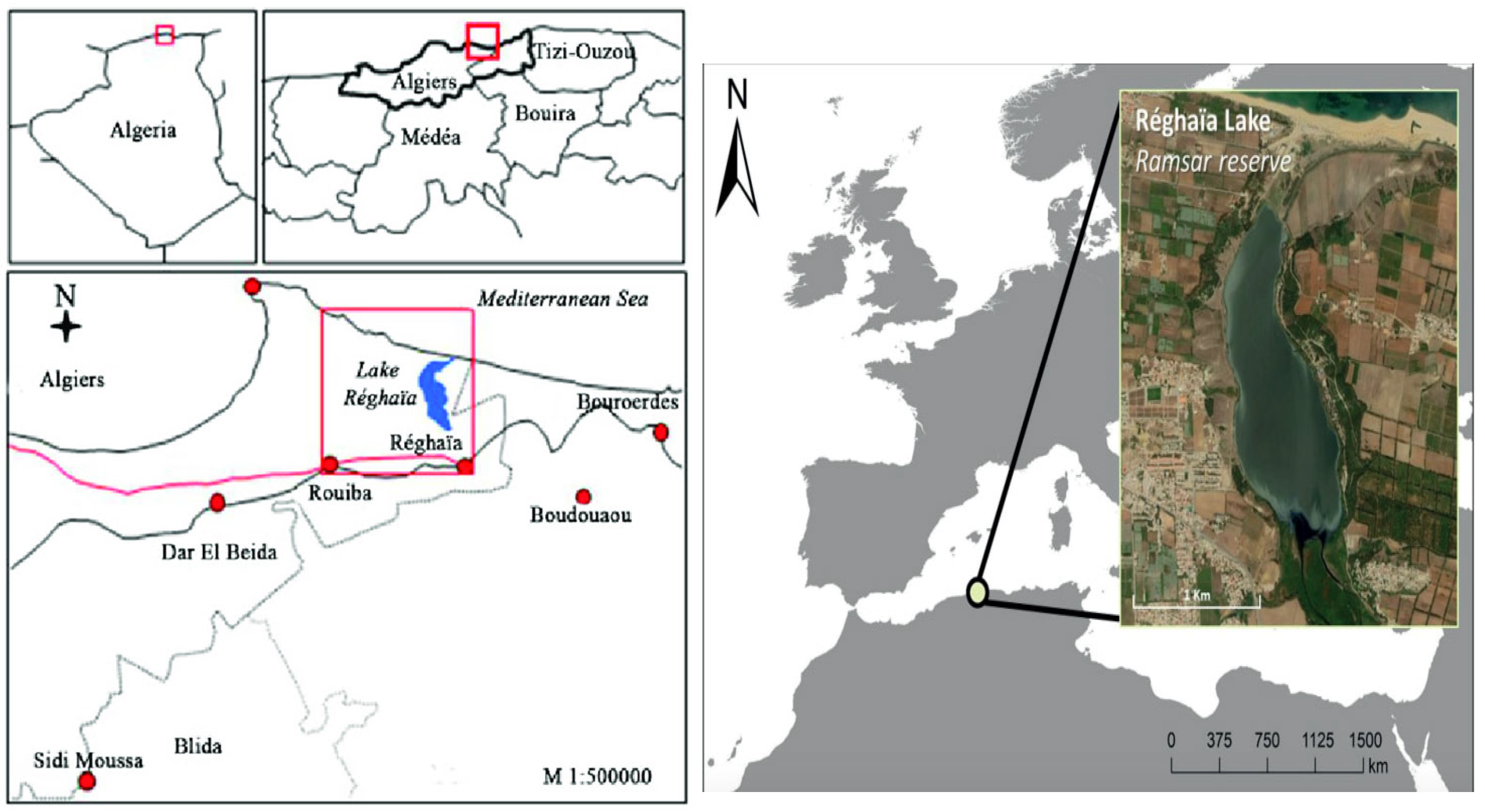 Environments 12 00445 g001