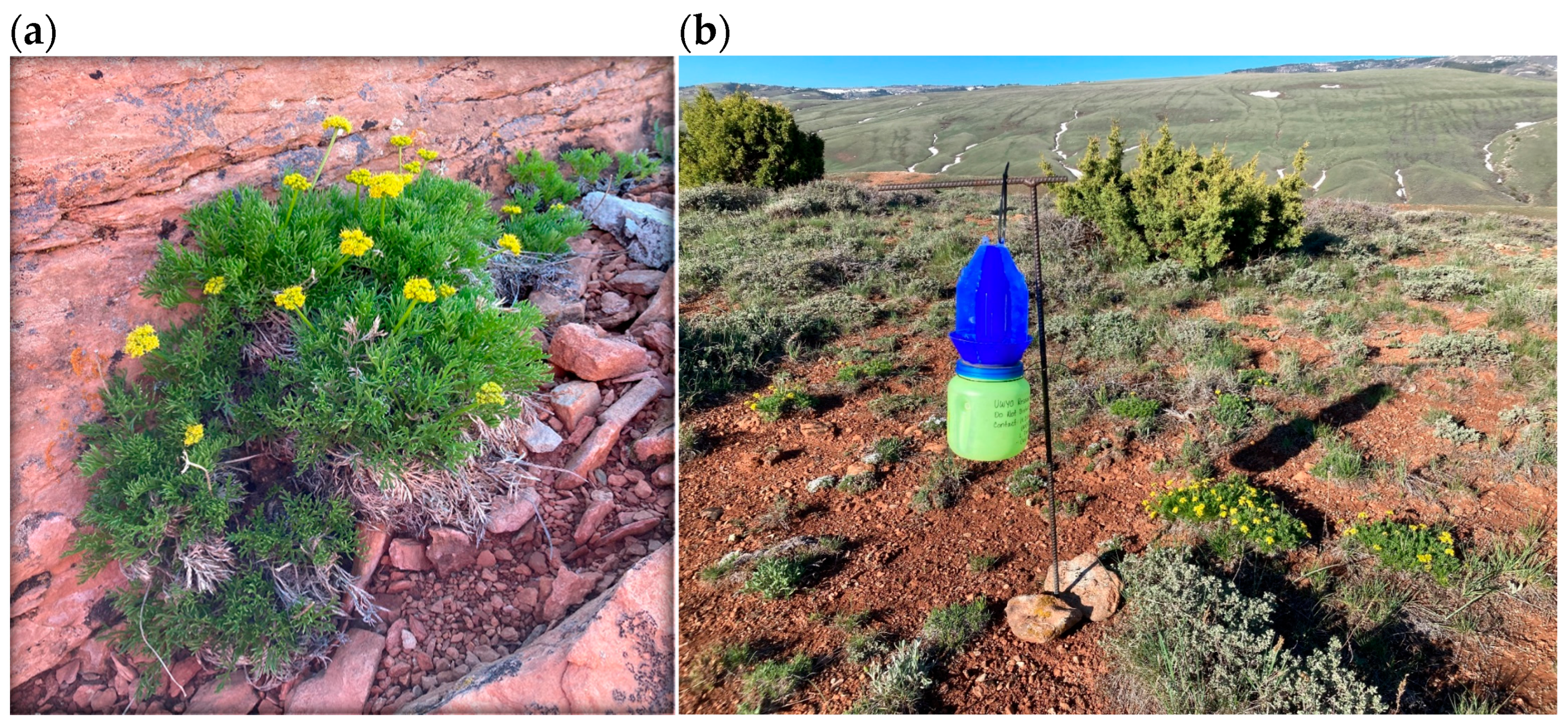 Environments 13 00032 g001