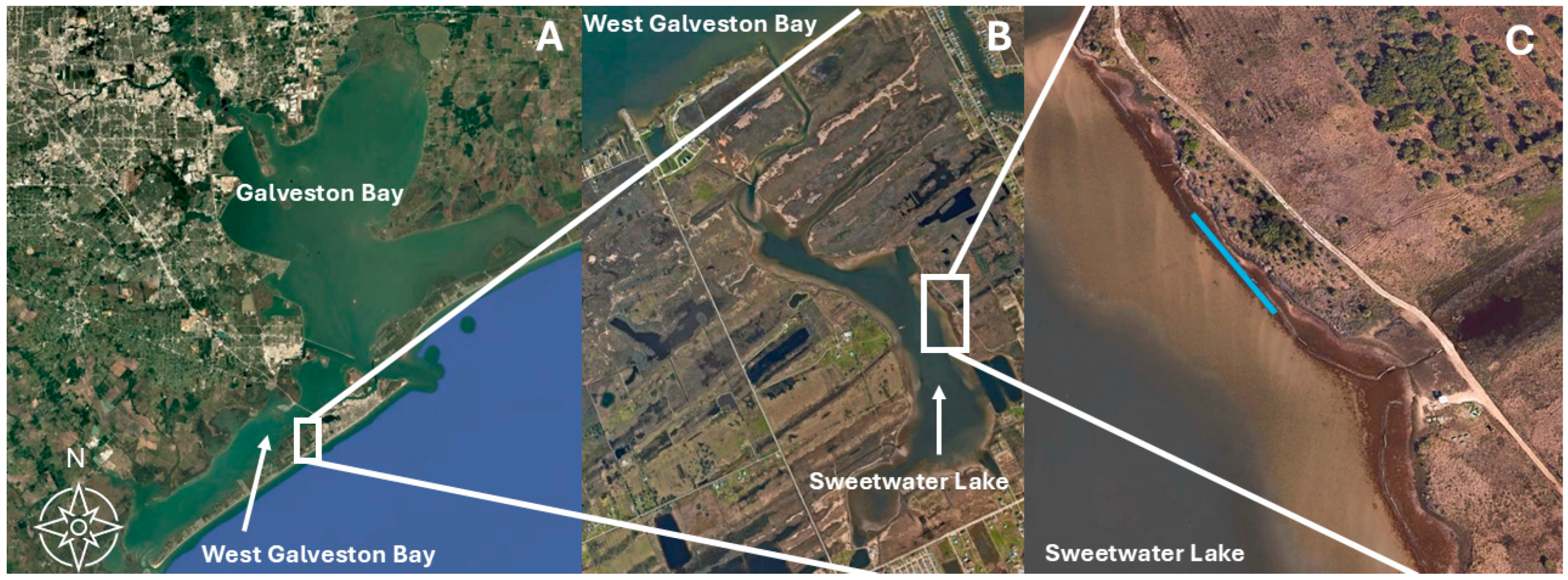 Environments 13 00042 g001