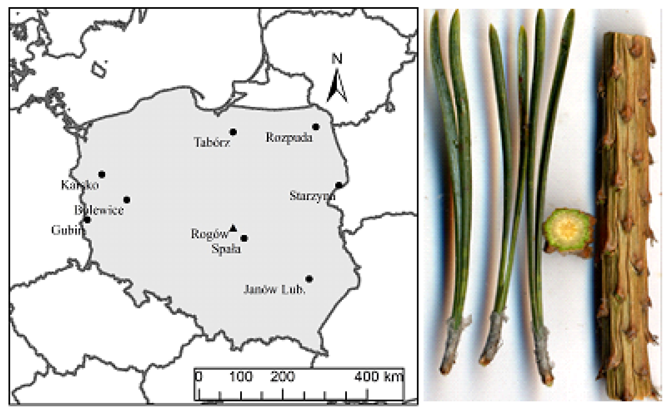 Environsciproc 03 00032 g001 550