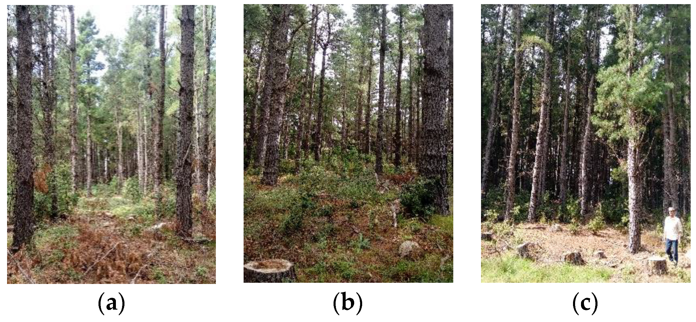 Environsciproc 03 00051 g001