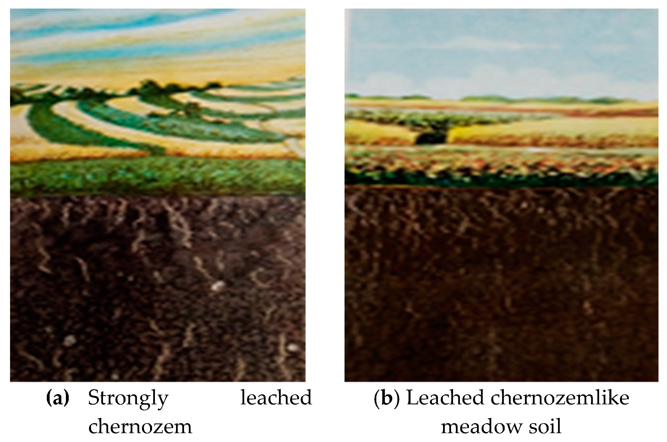 Environsciproc 04 00021 g001 550