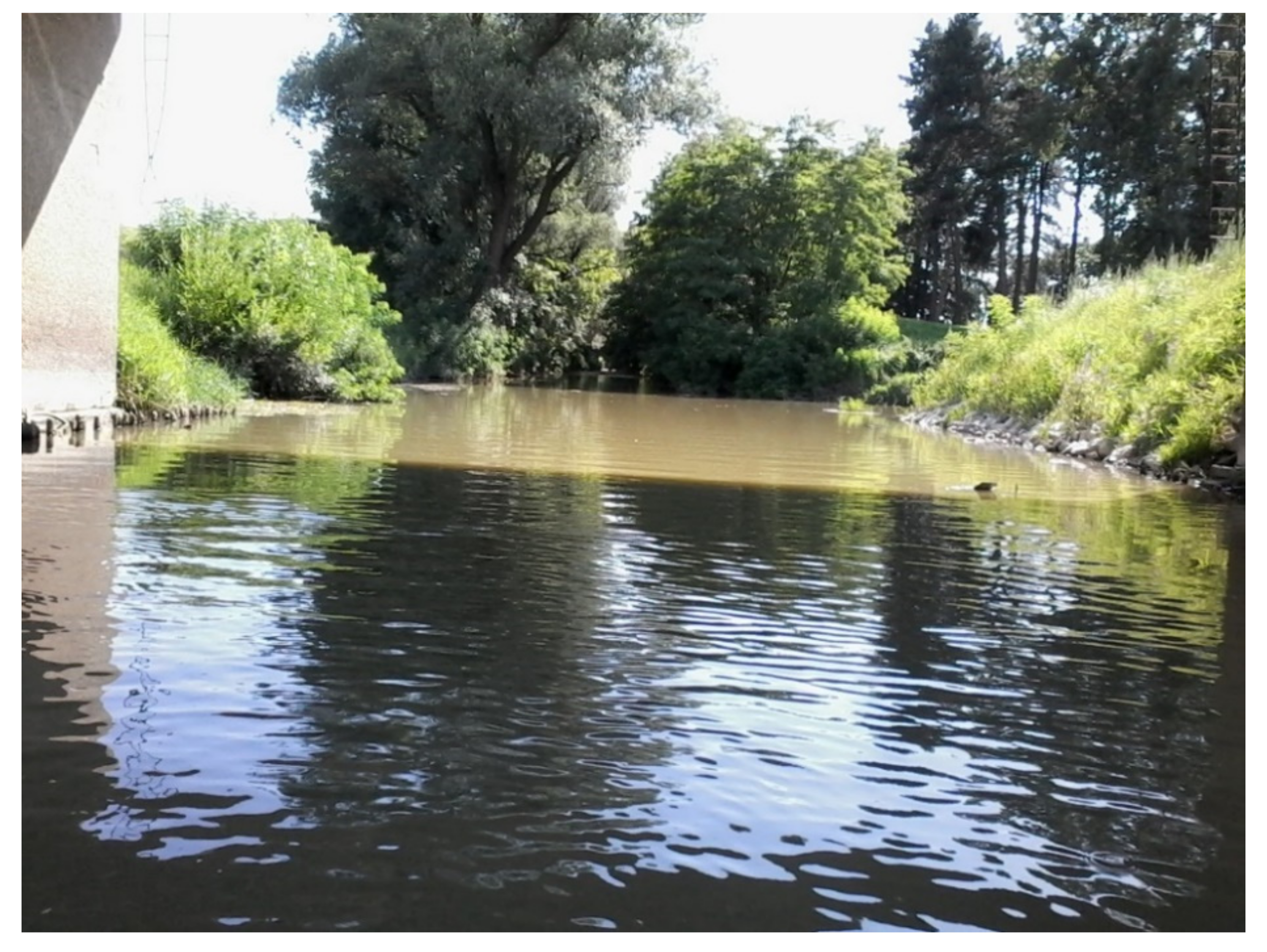 Environsciproc 07 00003 g008 550