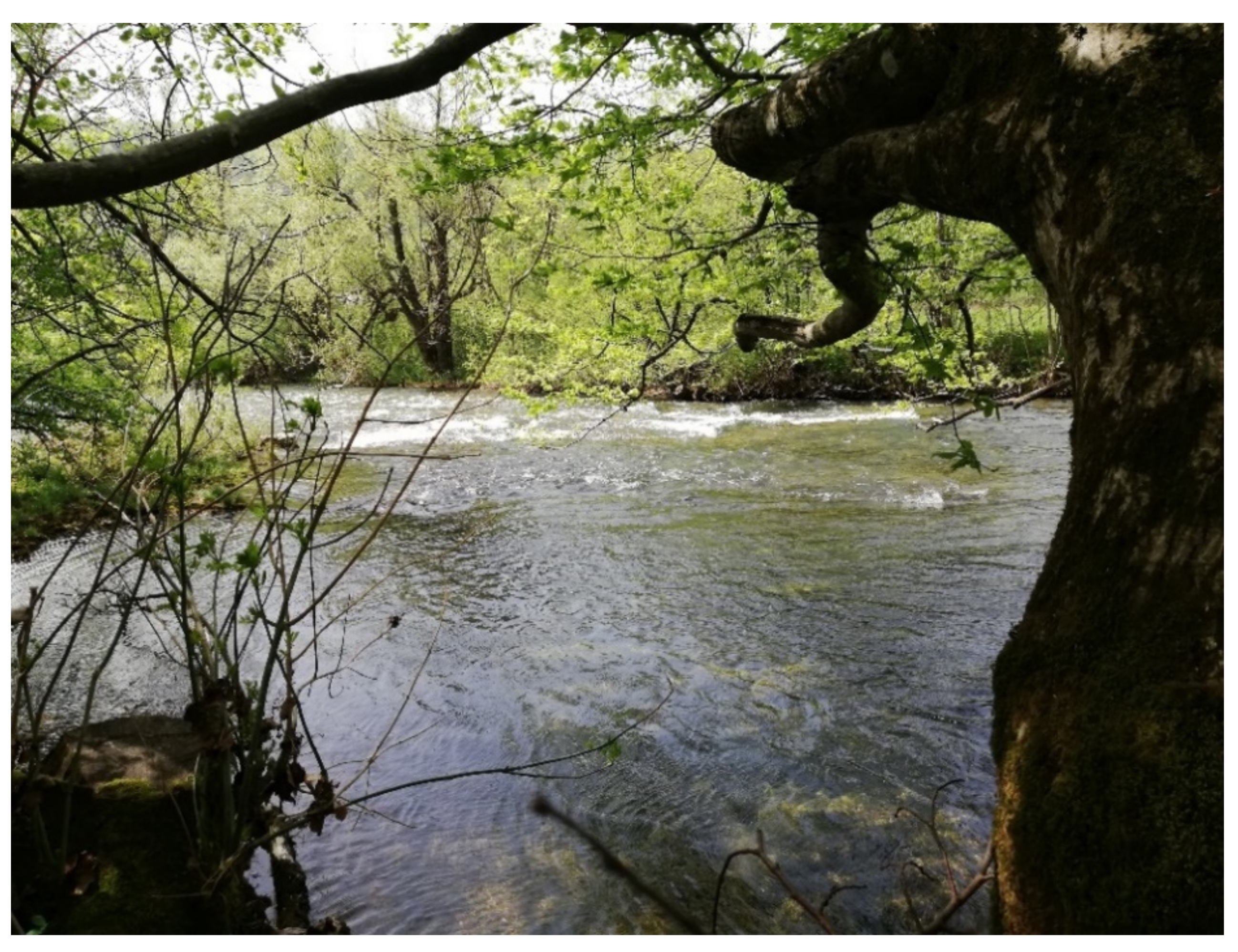 Environsciproc 07 00003 g009 550