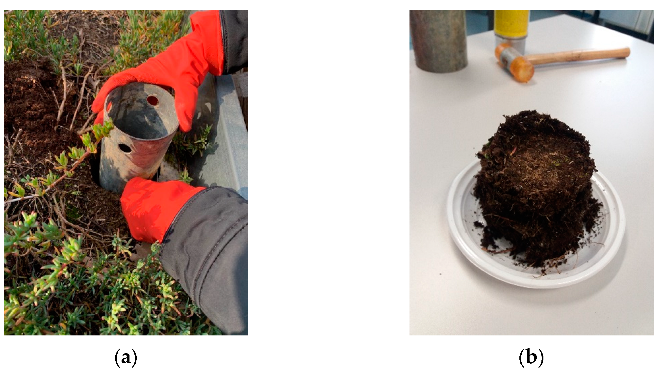 Environsciproc 07 00004 g002 550