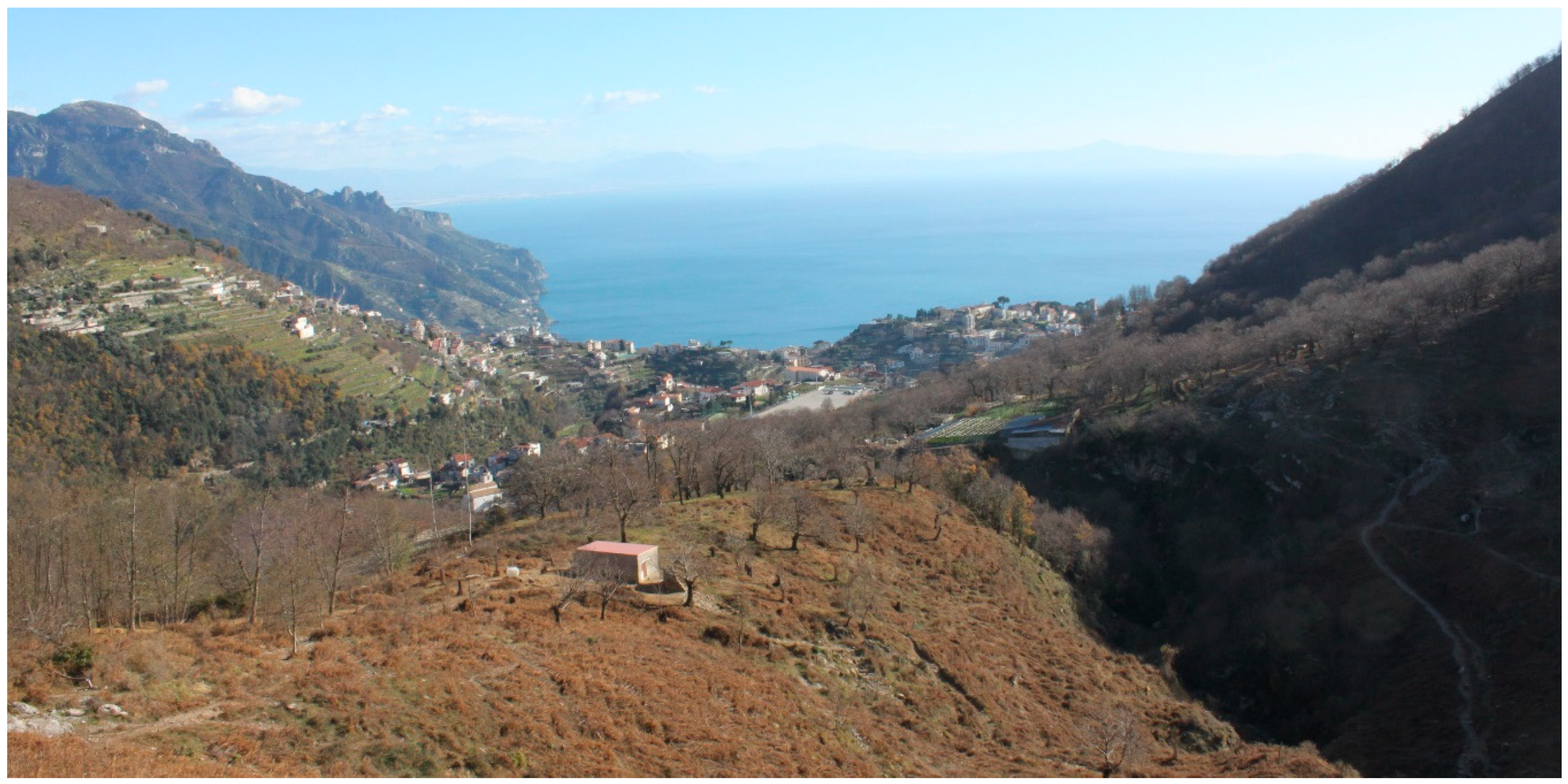 Environsciproc 10 00003 g002 550